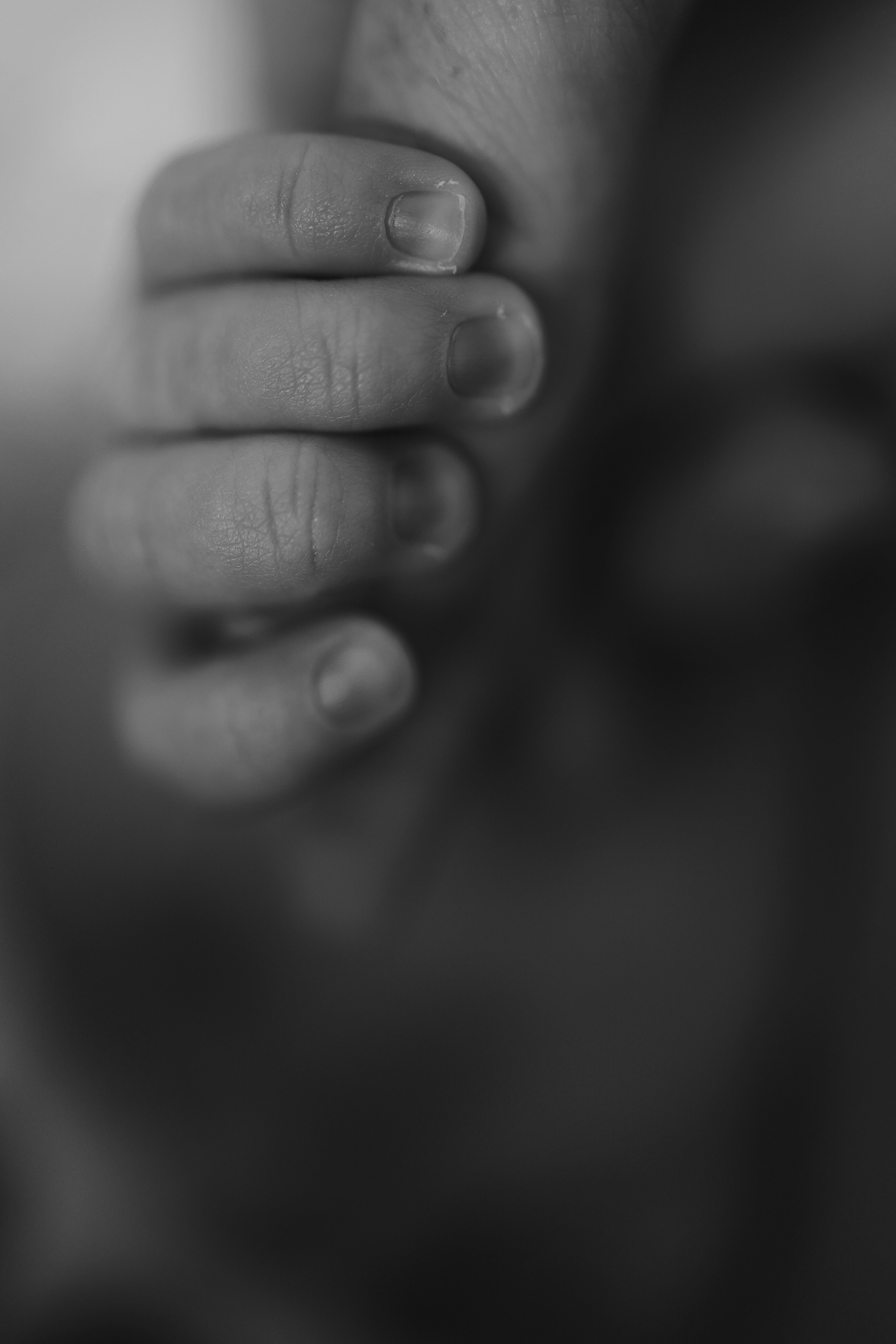 Ефим, 2 недели. Семейный фотограф Тюмень, фотограф на роды Салмина Мария