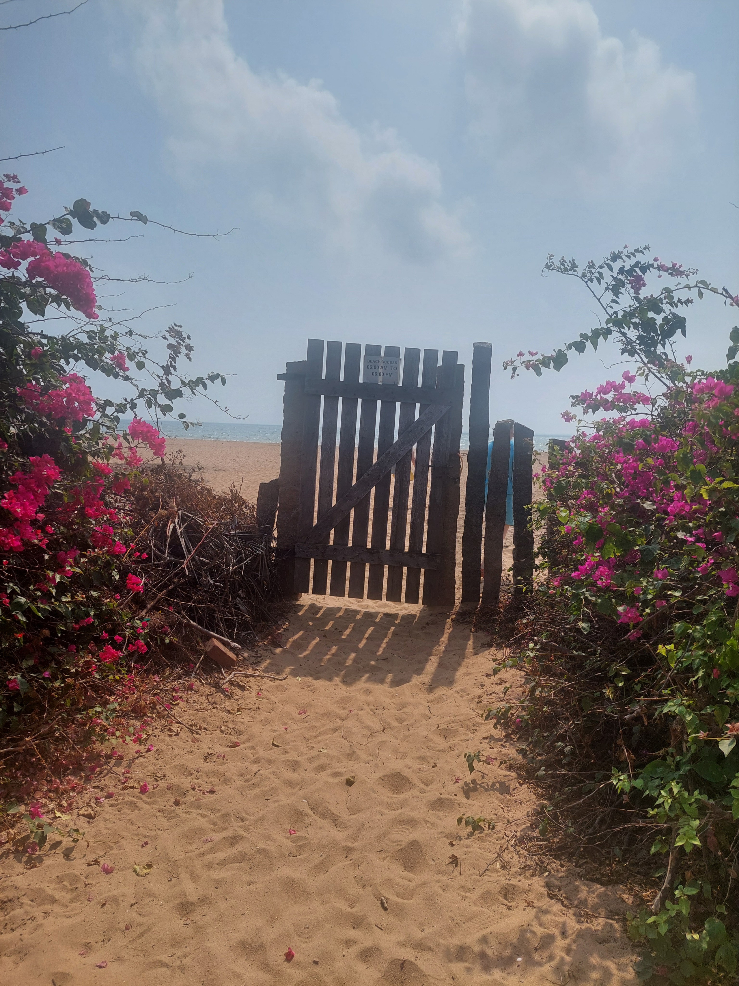 Дровяной обжиг в Индии — 2023. Керамика с историей. Елена Рогалёва