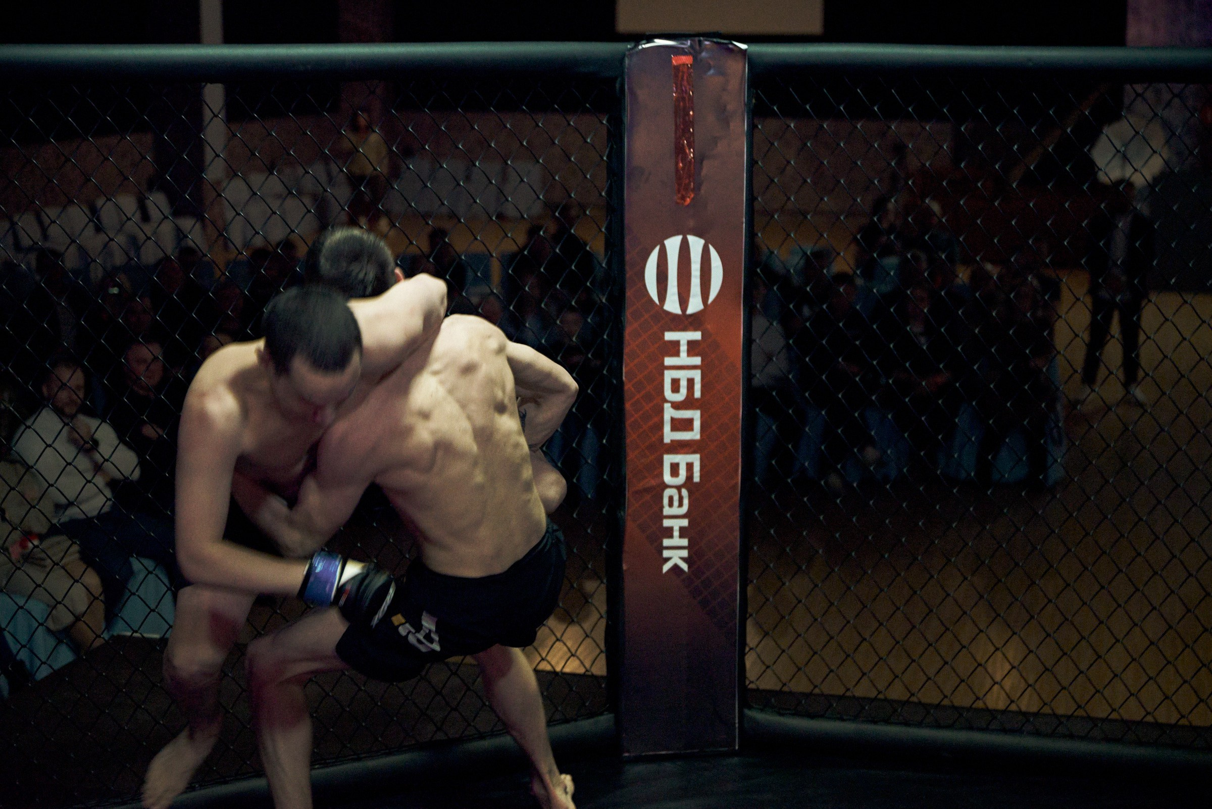 Бои. Маляревич Дмитрий свадебный фотограф