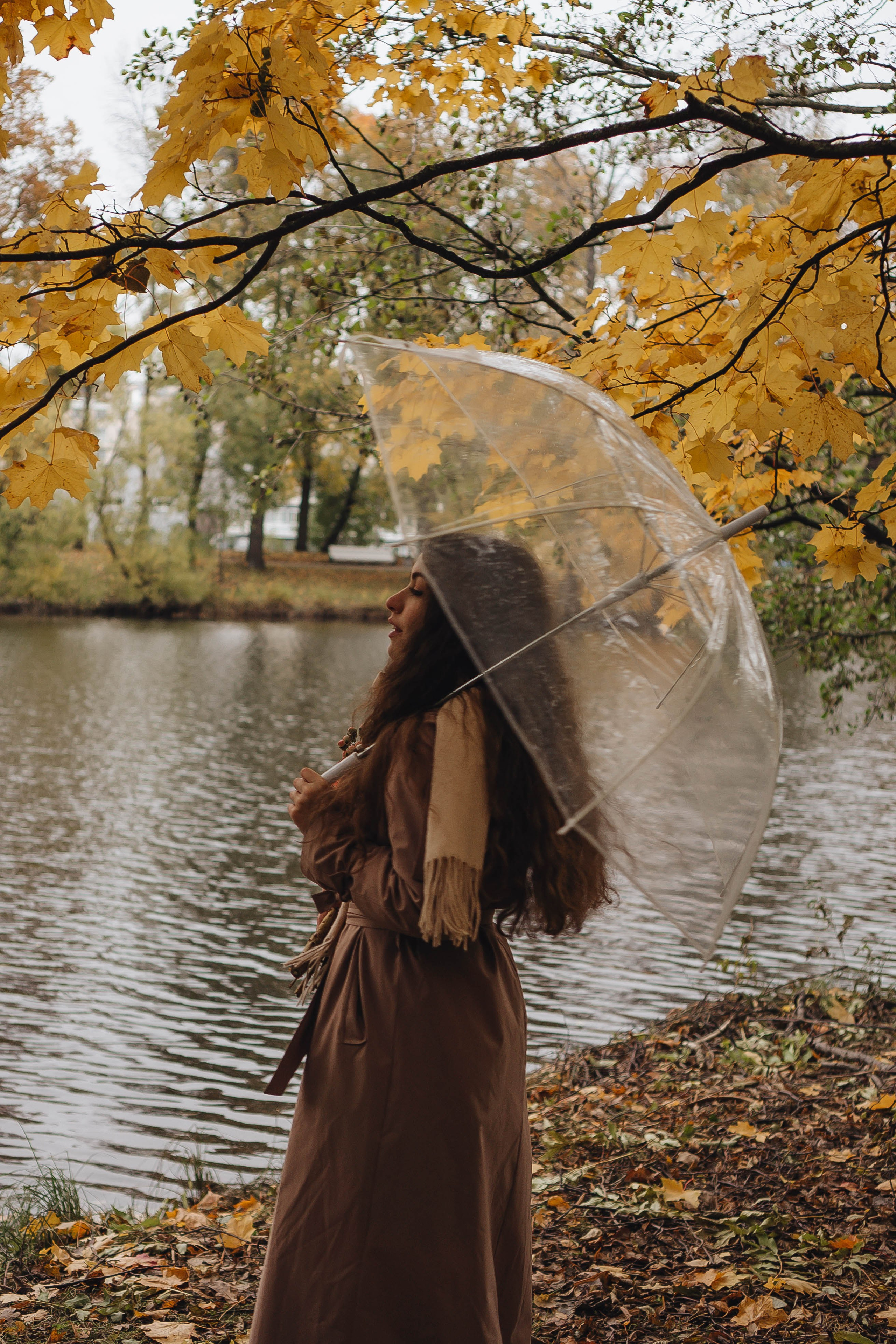 Осень. Профессиональный фотограф, Санкт-Петербург — Виктория Богомолова
