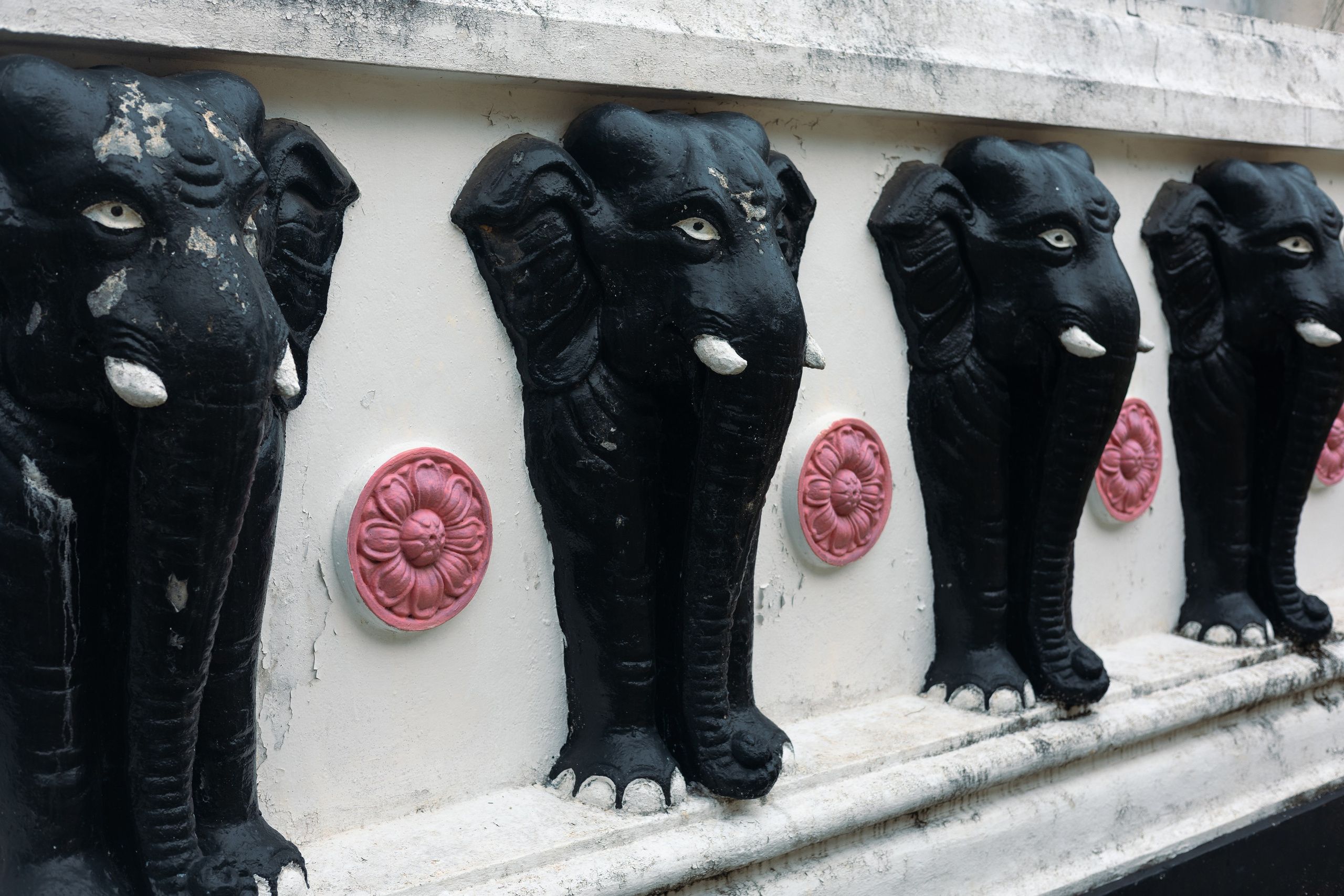 Weligama. Photographer Sonkina Tatiana (Tanya Ash)