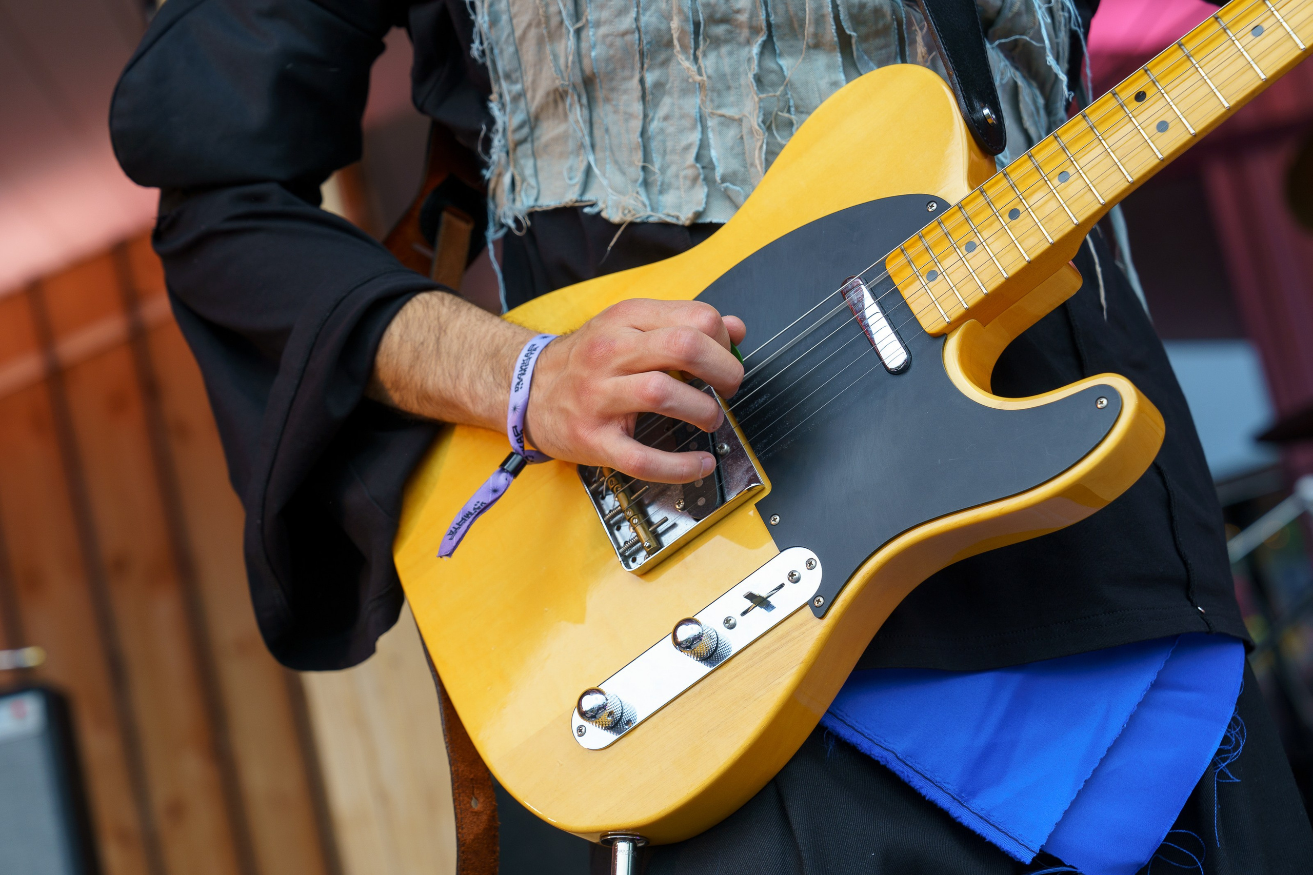 Фотографии музыкального фестиваля Дикая Мята 2025. Фотограф Николай Прокофьев модельные тесты в Москве