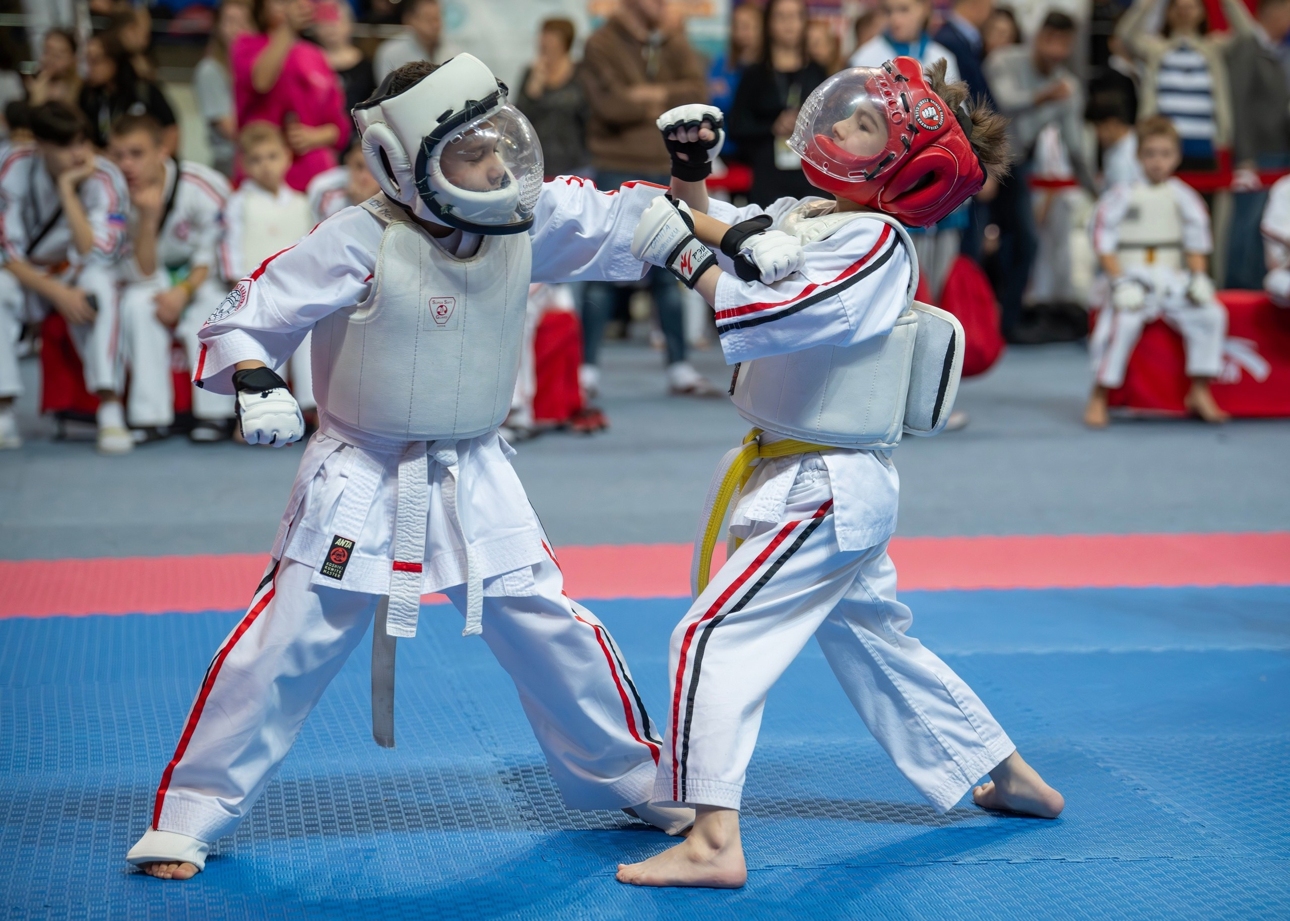 Единоборства. Профессиональный фотограф ДМИТРИЙ ЕГОРОВ