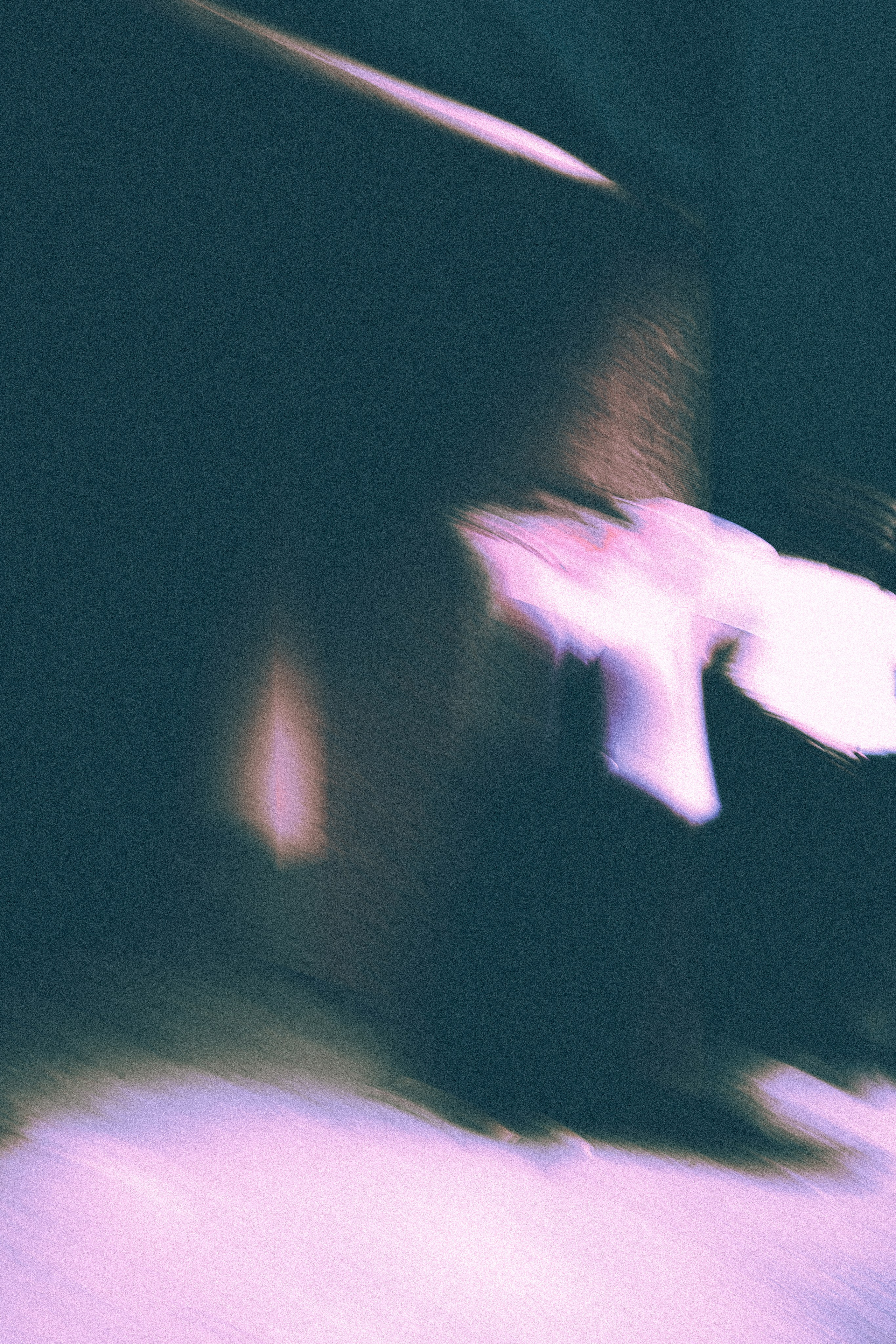 Ваня и Галя. Фотограф в Москве