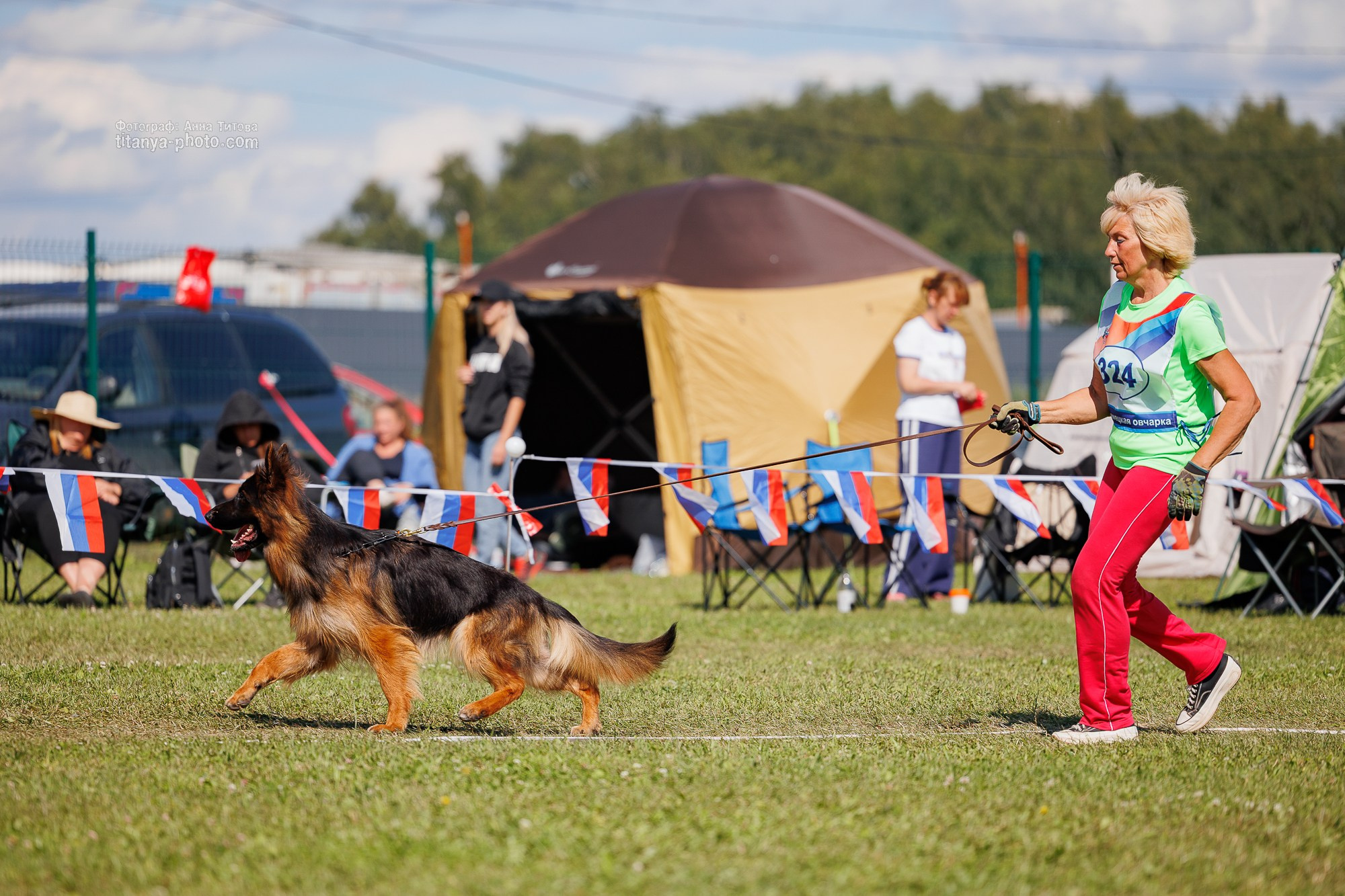 Немецкие овчарки: фото из рингов и вне ринга, мутпроба (фотографии с выставок). Фотограф собак, фотограф-анималист Аня Титова (Titanya). Москва