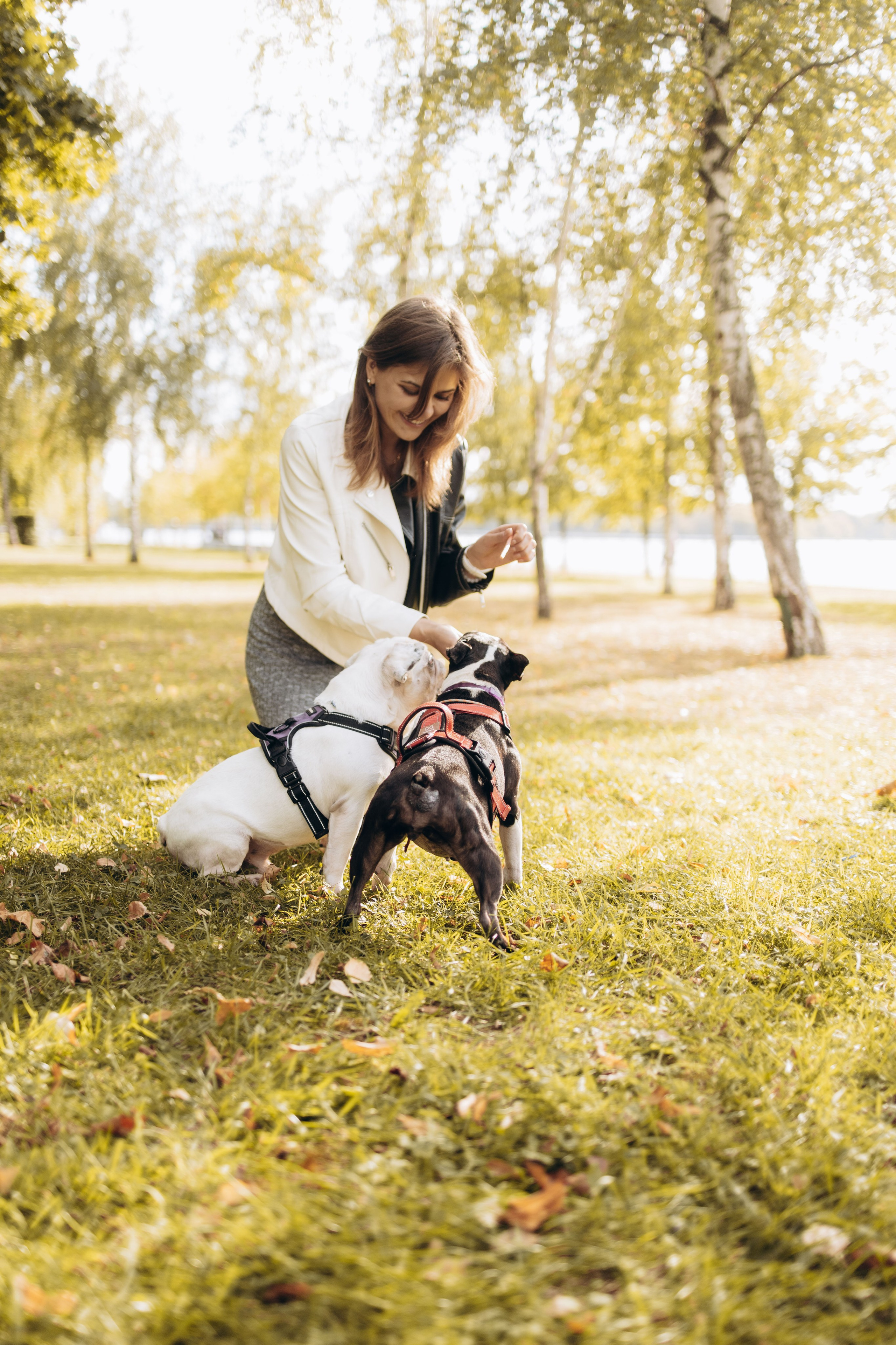 Оля и бульдоги