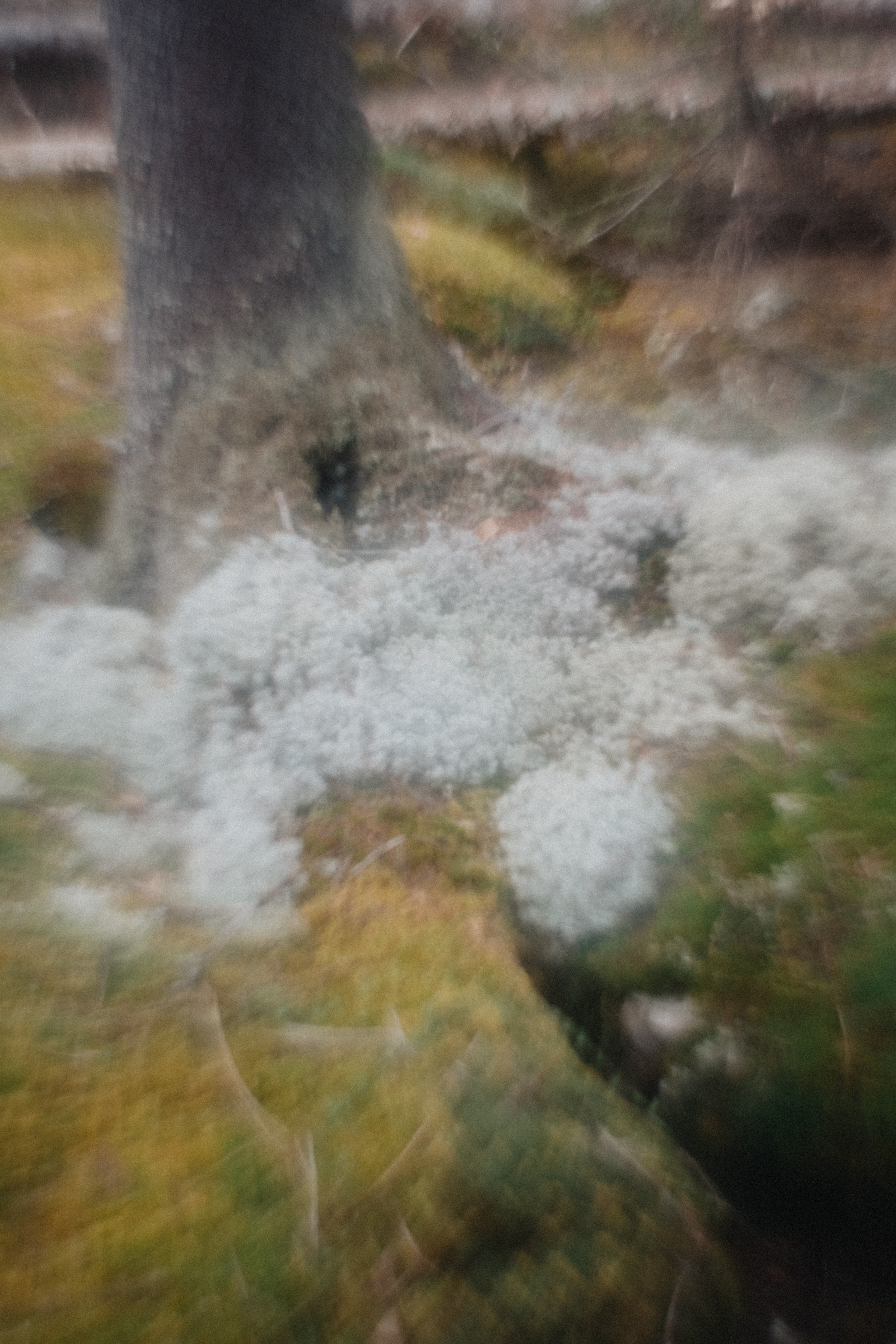 Южный Урал. Окрестности Ялангаса | Май 2024. Andrew Sozonov visual artist