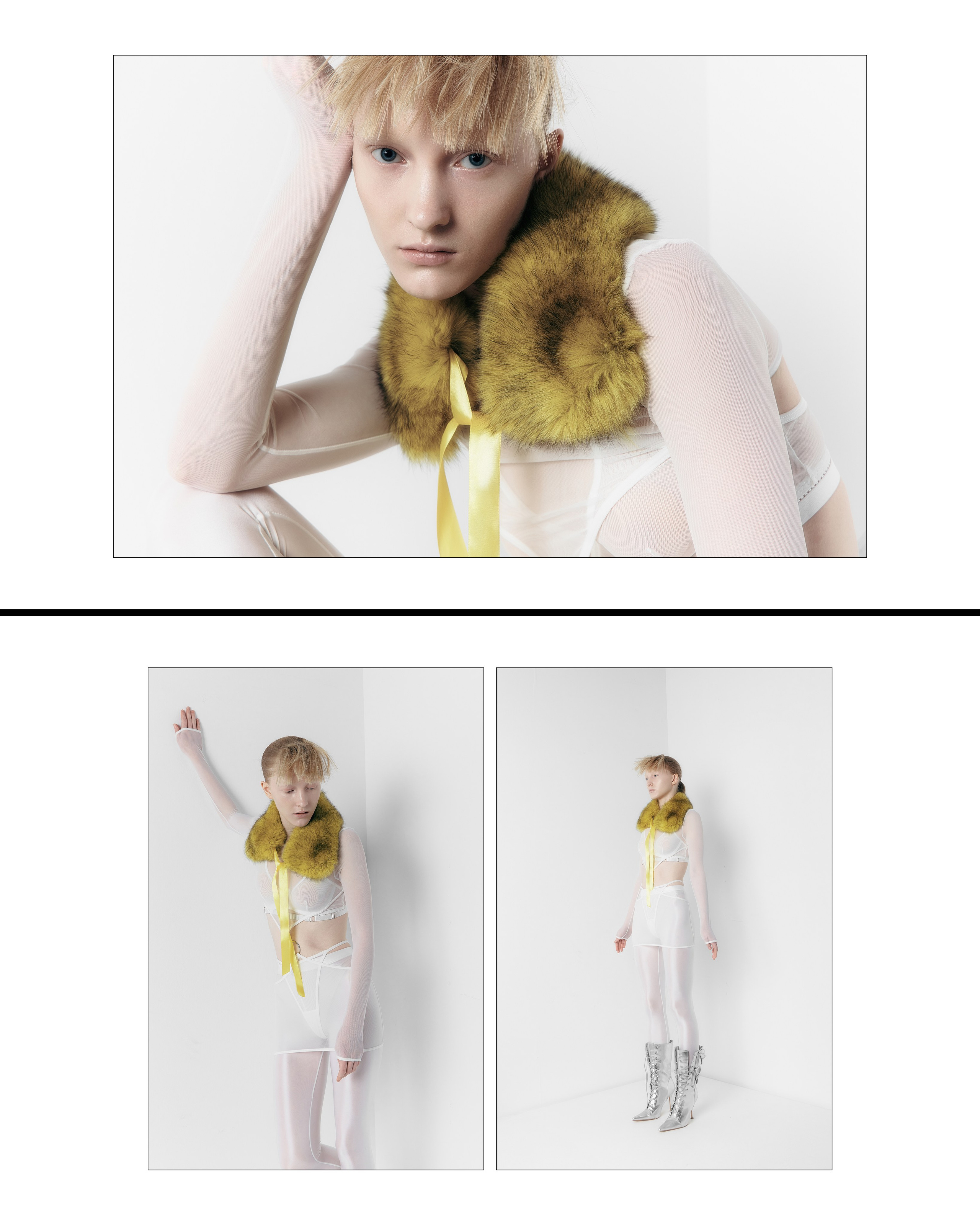 Plastic. DDPRODUCTION CASES