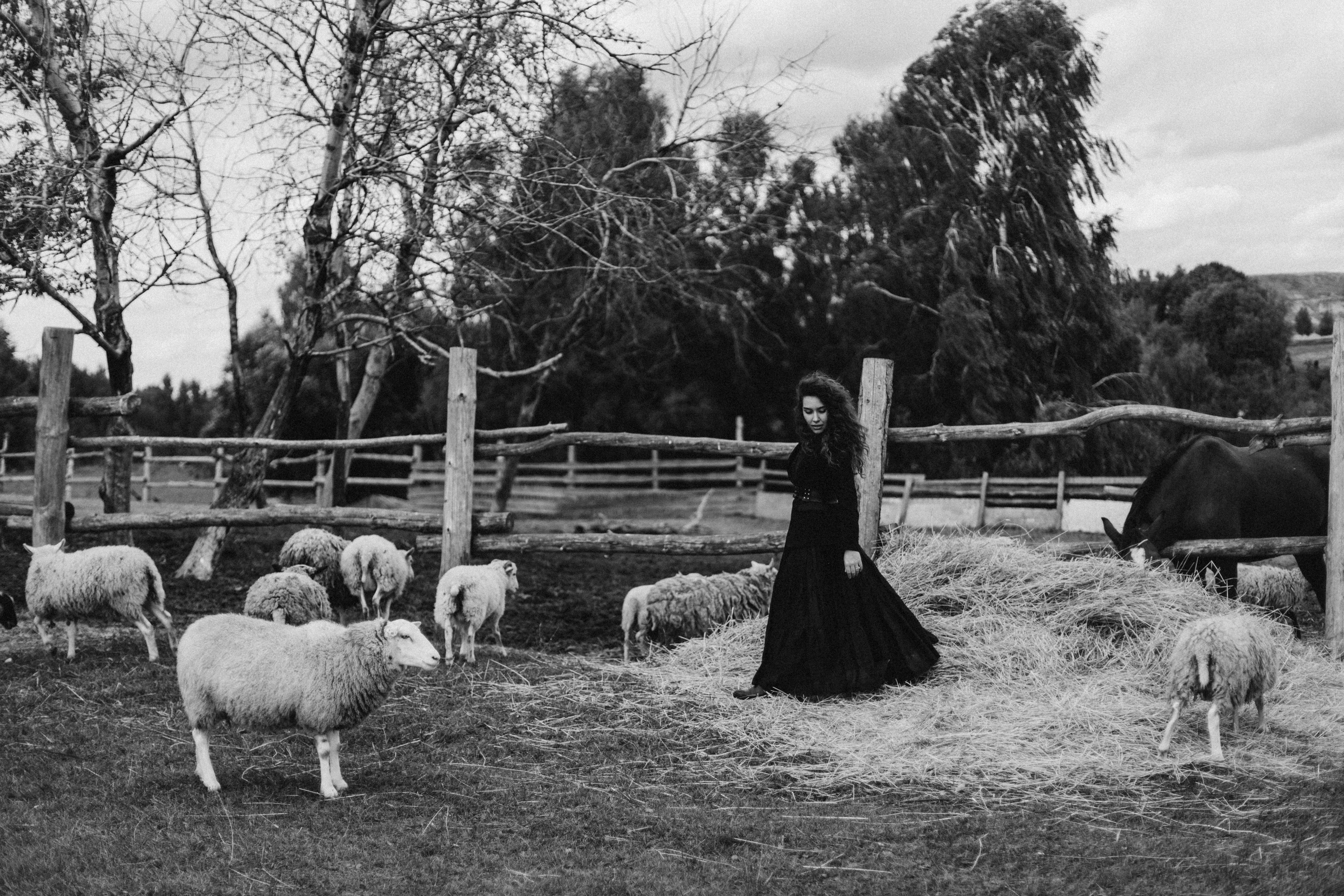 Катя. Портретный фотограф Дорошко Анастасия