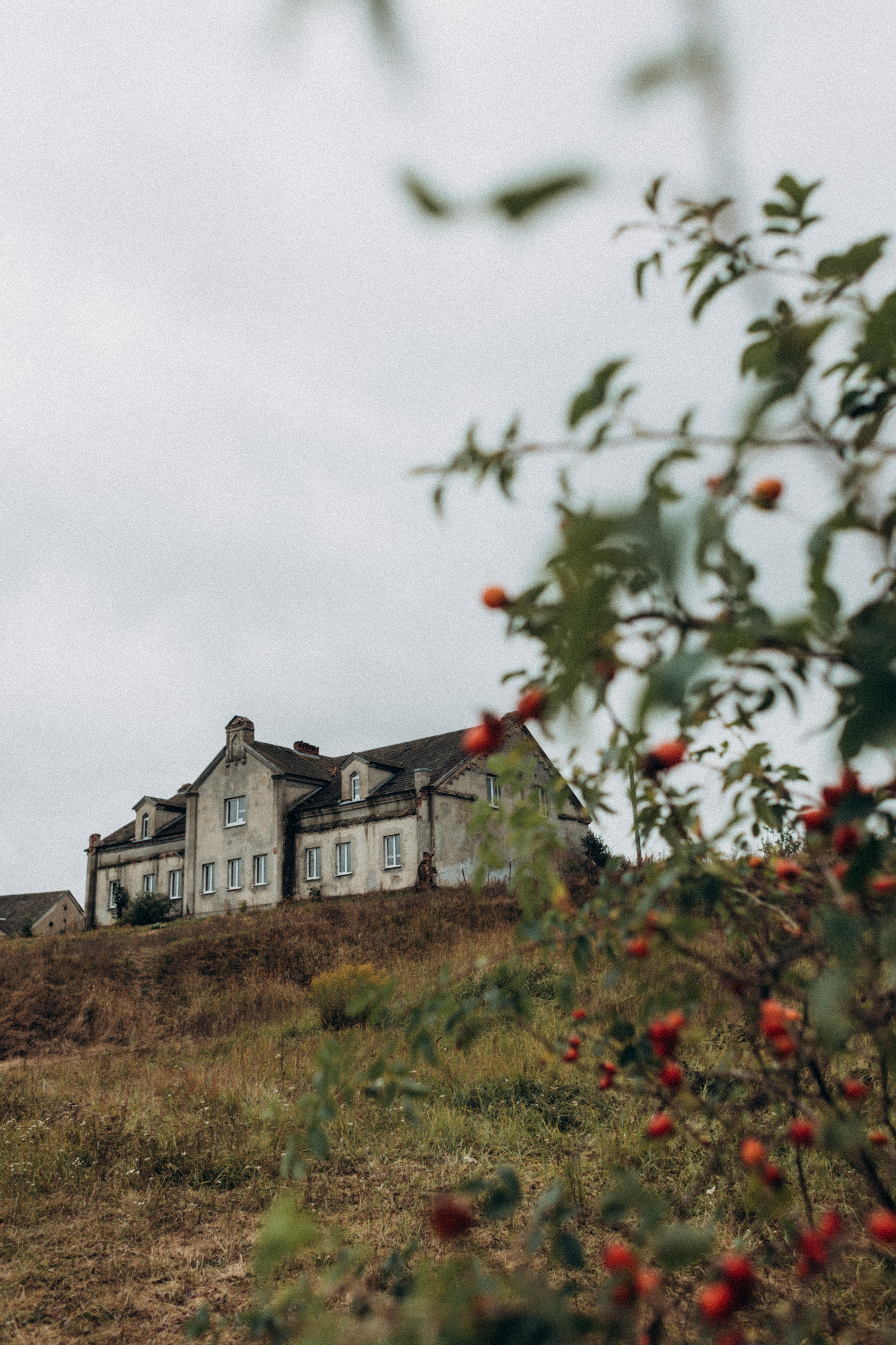 Вадим и Яна. Портретный фотограф Дорошко Анастасия