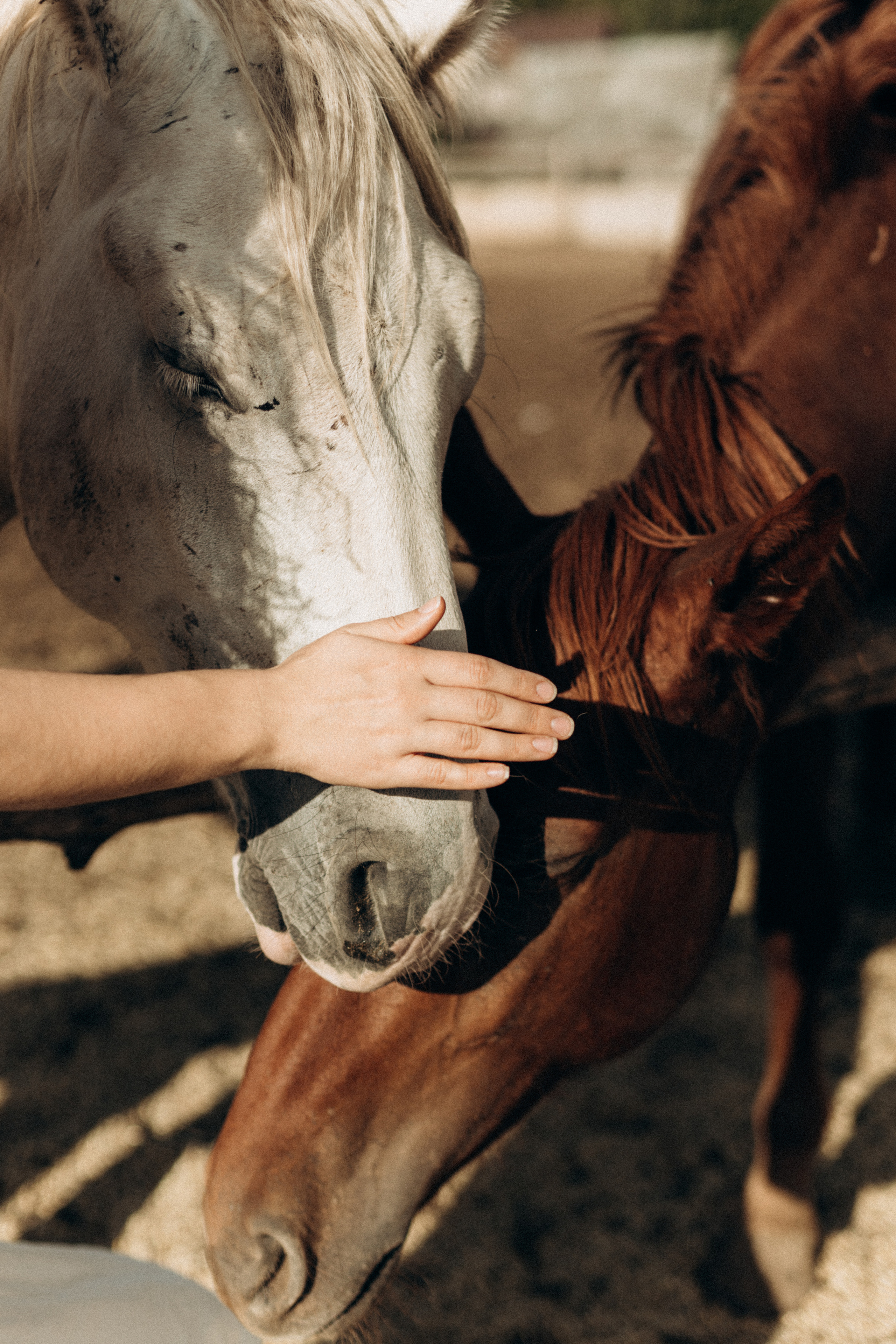 Катя. Портретный фотограф Дорошко Анастасия