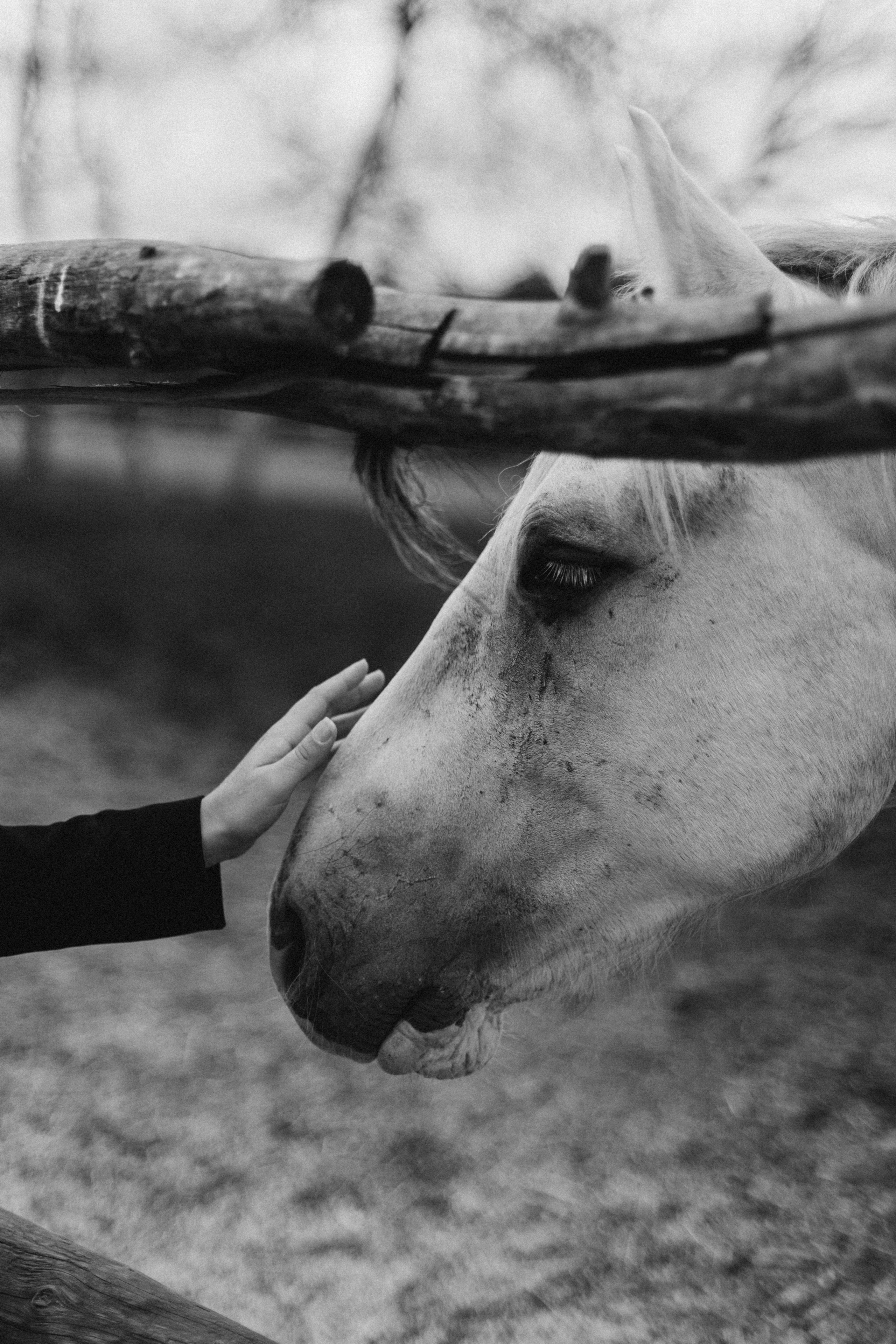 Катя. Портретный фотограф Дорошко Анастасия