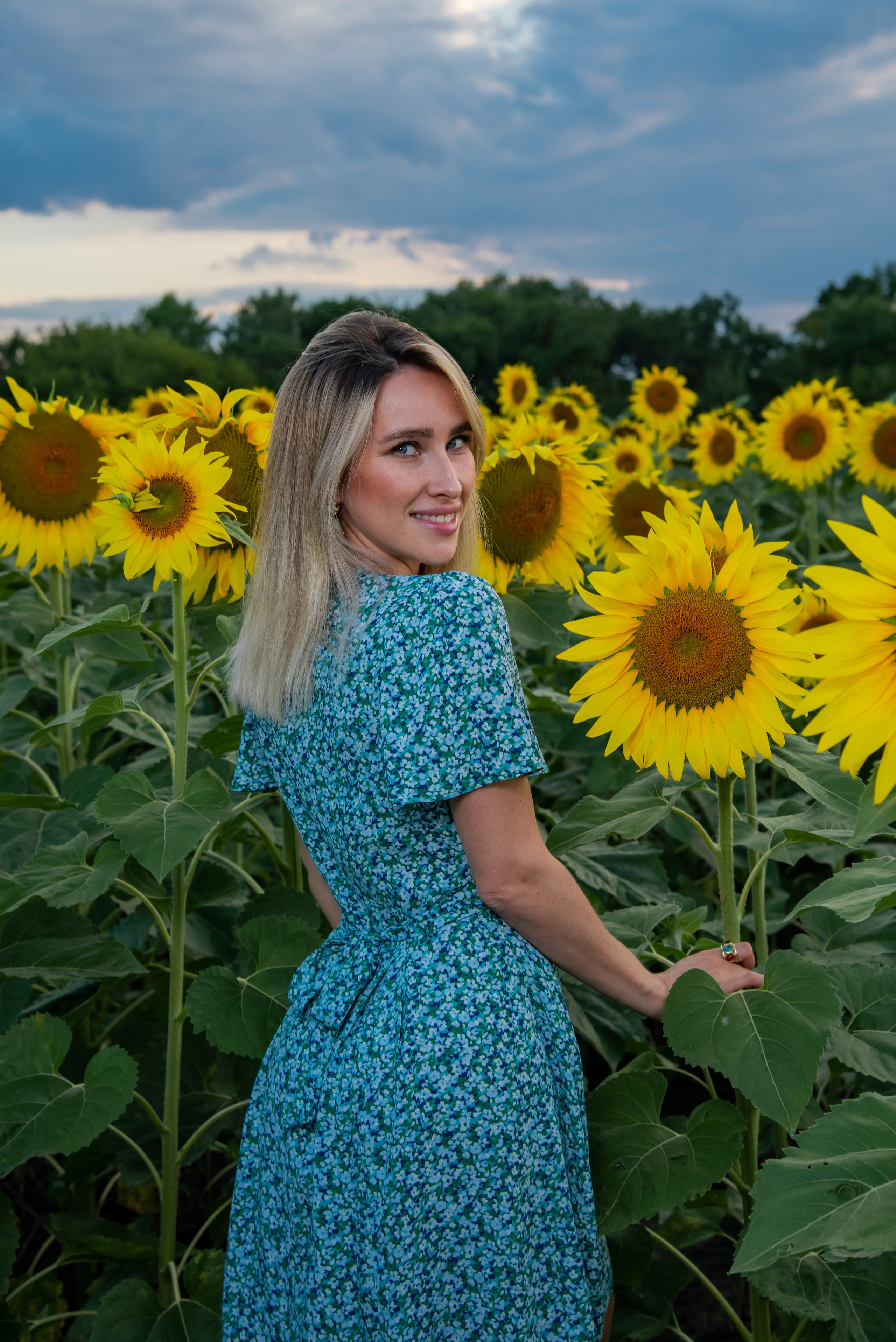 Подсолнух. Фотограф Галина Нестерова