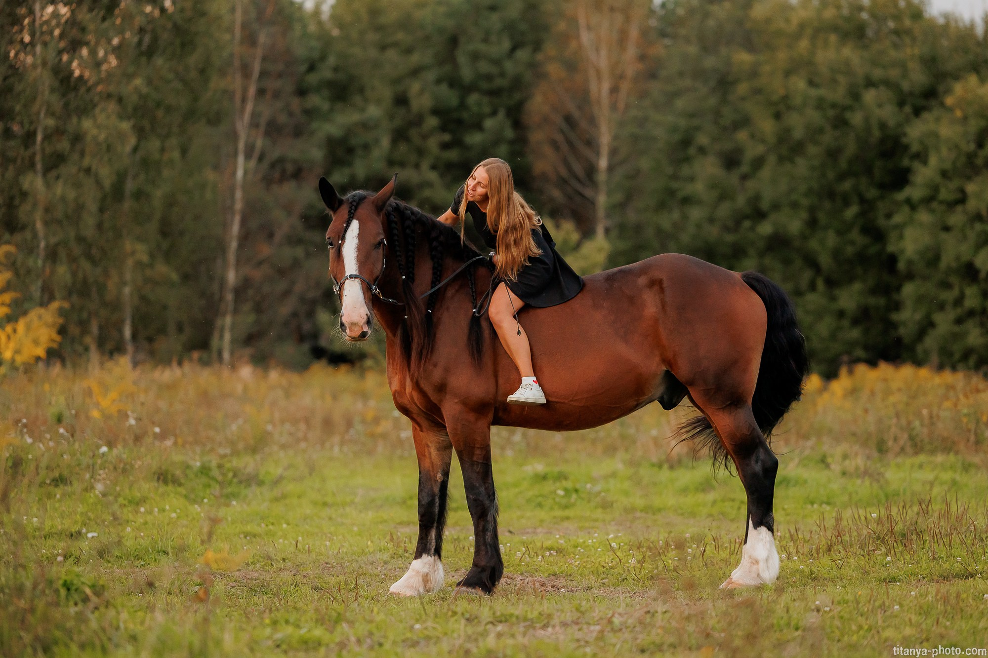 Закатная семейная фотосессия: про Настю и её дружную семью. Фотограф собак, фотограф-анималист Аня Титова (Titanya). Москва