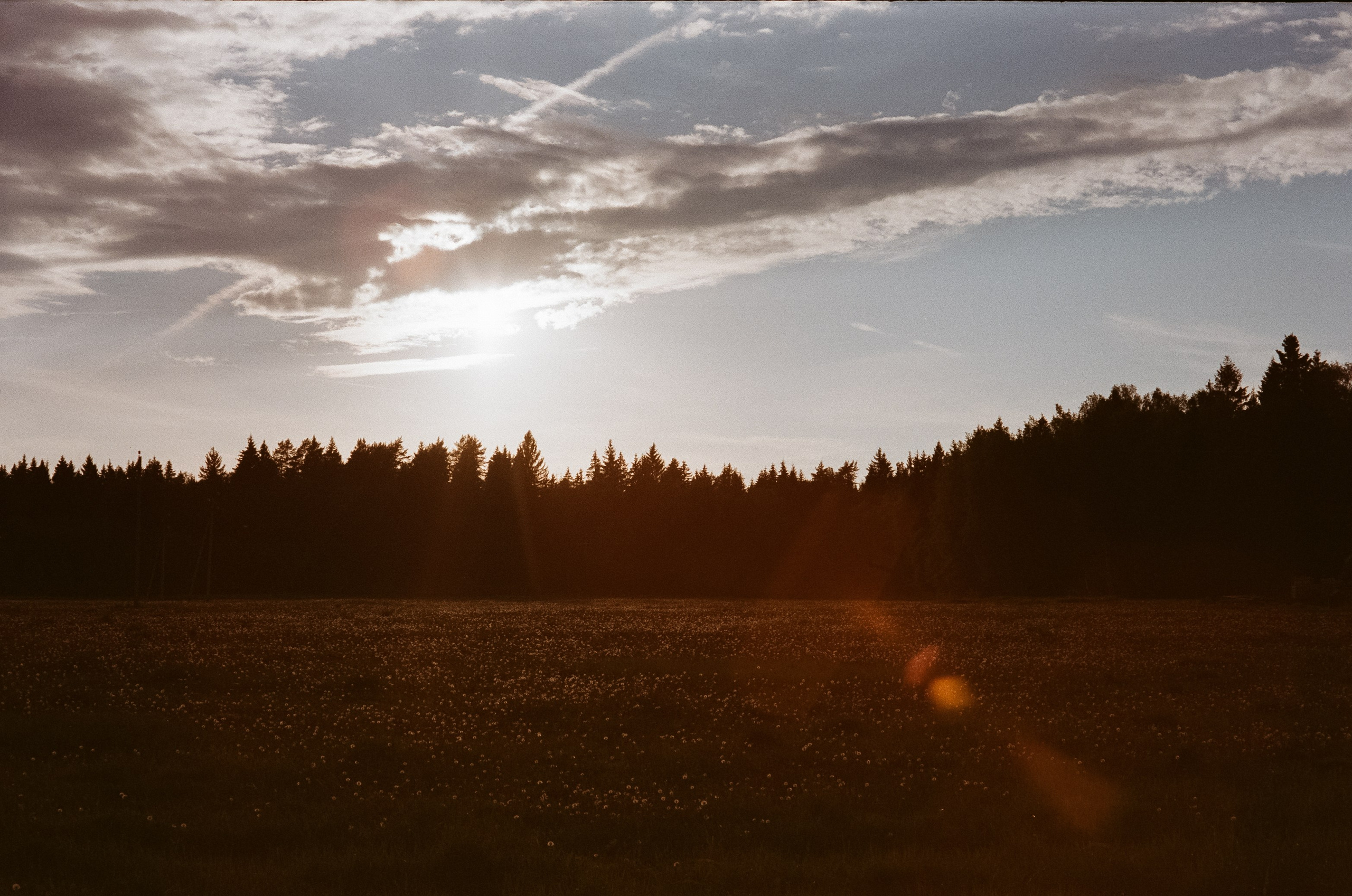 Konica IIIA / Fujicolor Superia 200 (просрочка) / Благовещенский переу