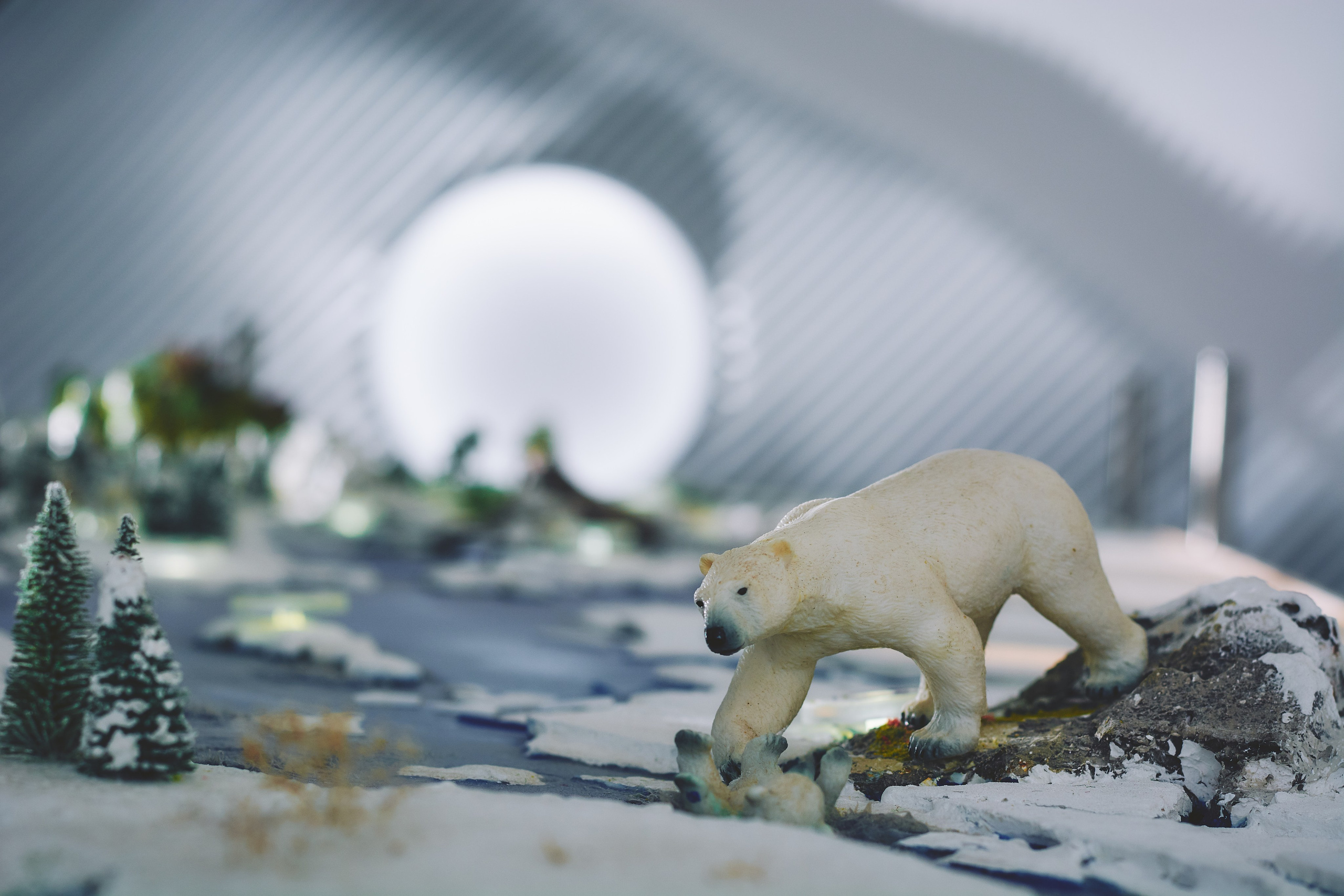 Интерьерная съемка Визит-центр Национальный парк «Кисловодский». Константин Кордонский | Интерьерный и food-фотограф в Кисловодске и КМВ