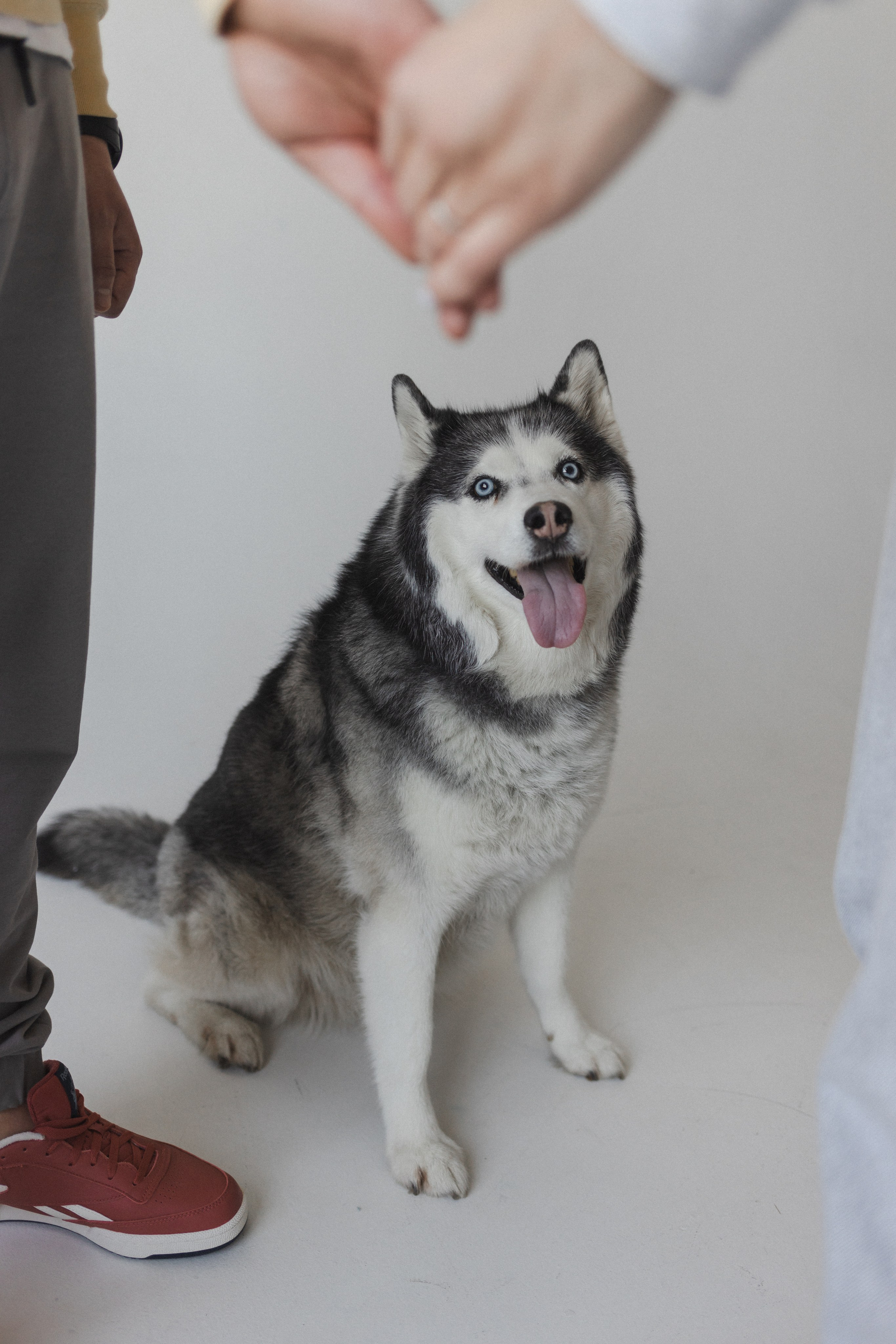 История семьи. Семейный фотограф в Москве