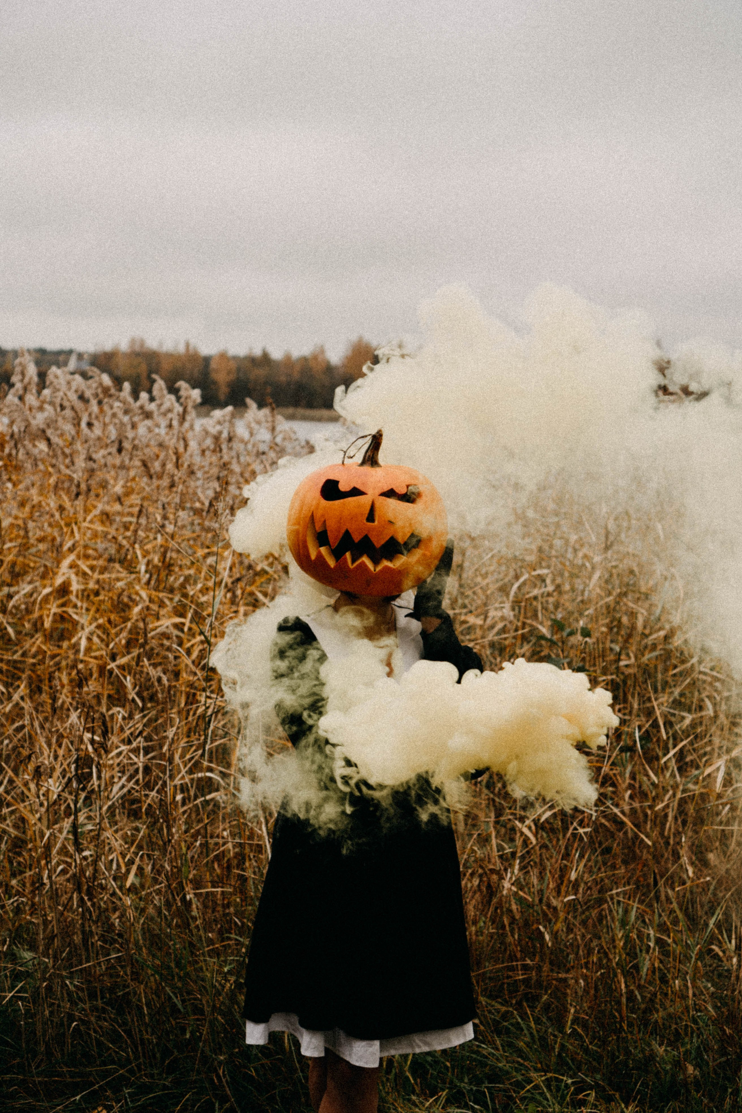 Осеняя. Профессиональный фотограф, Санкт-Петербург — Виктория Богомолова