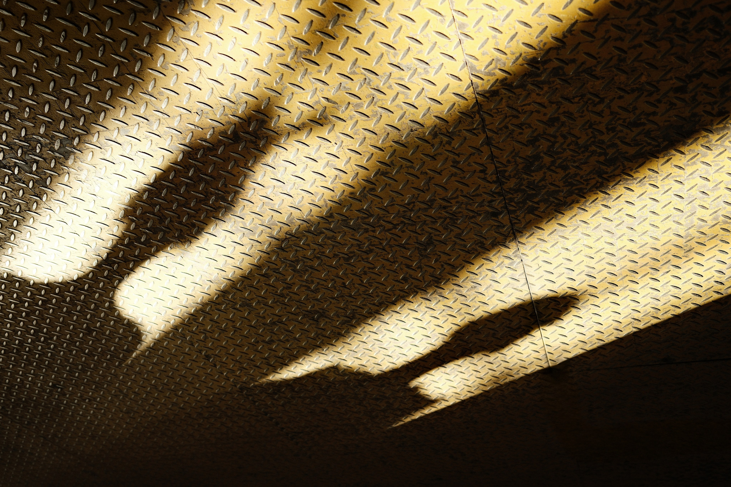 Московская неделя моды. Профессиональный фотограф в Москве Захар Ишутин