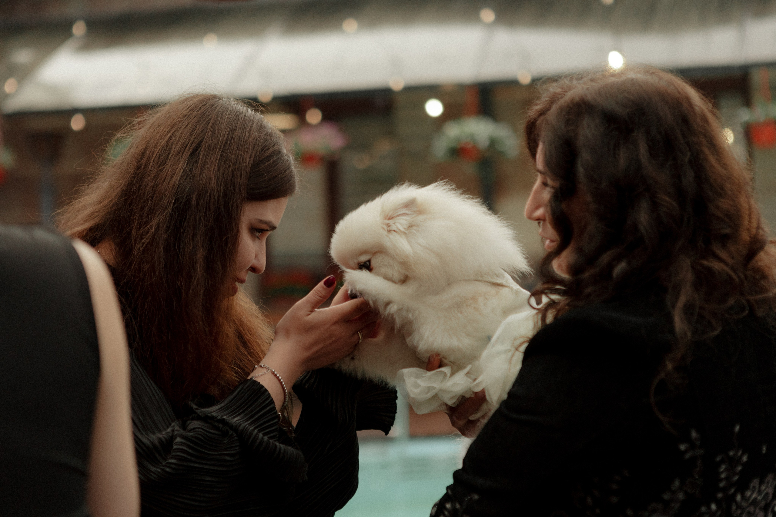 Аля и Паша. Свадьба в Пахра Парк. Свадебный и портретный фотограф в Москве Анастасия Масюк