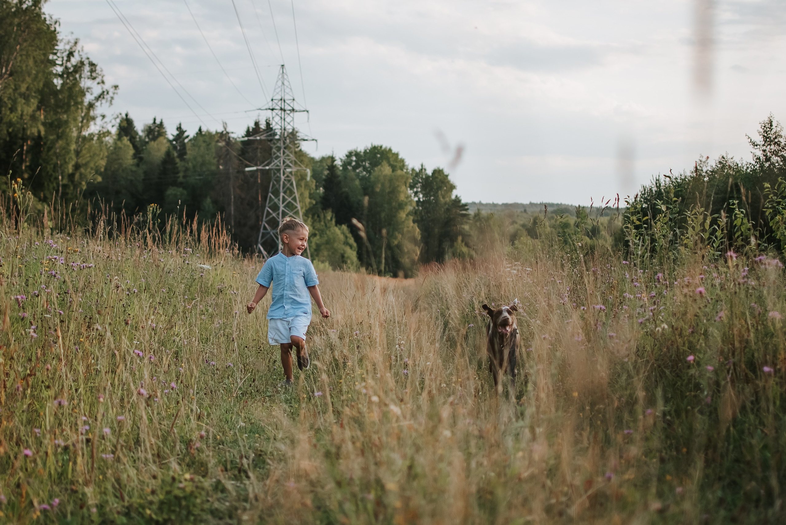 Витя и Кофи. Фотограф-анималист Валерия, Москва, Мытищи