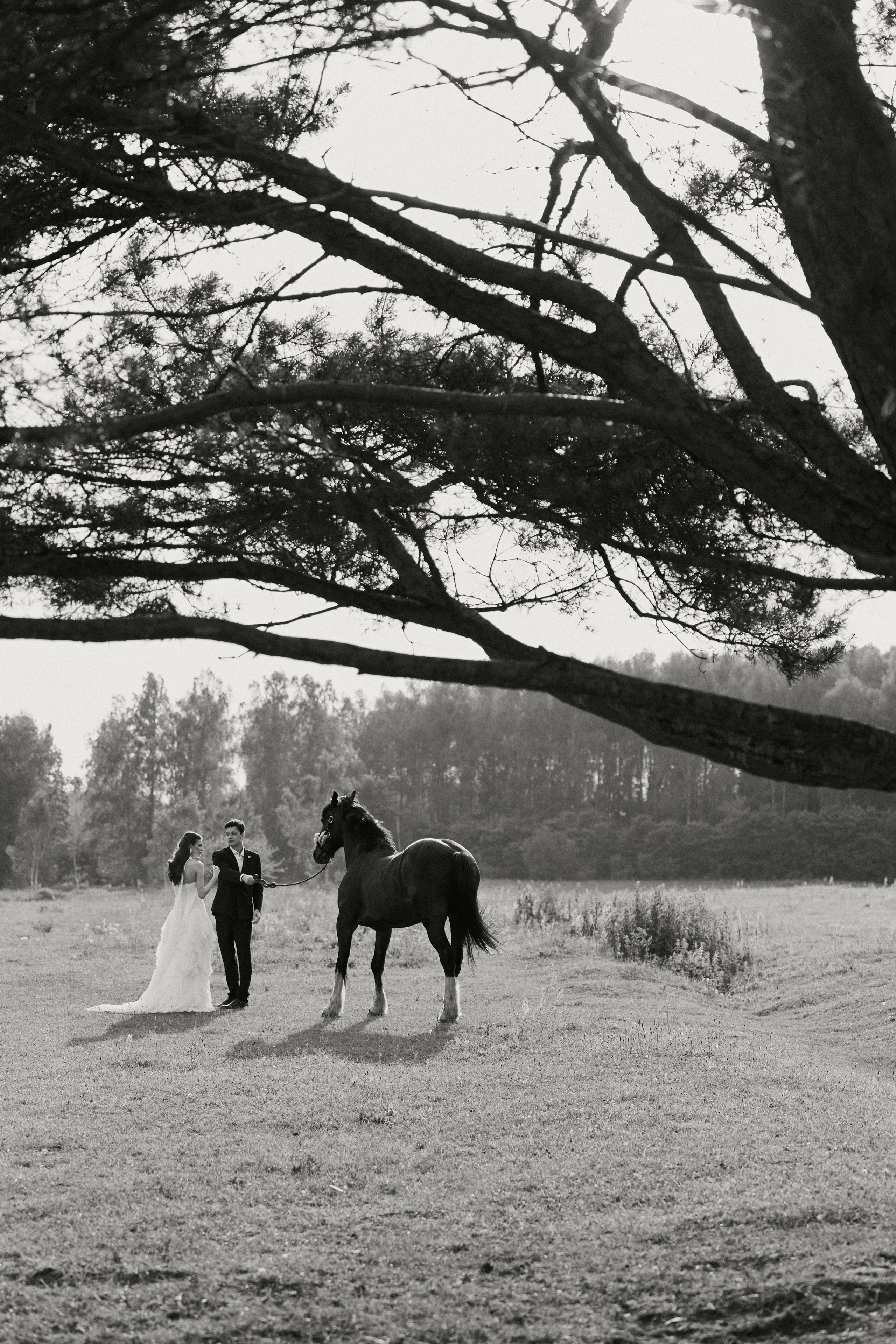 ARTUR & TAISIYA. Свадебный фотограф Жучкова Елизавета в Москве