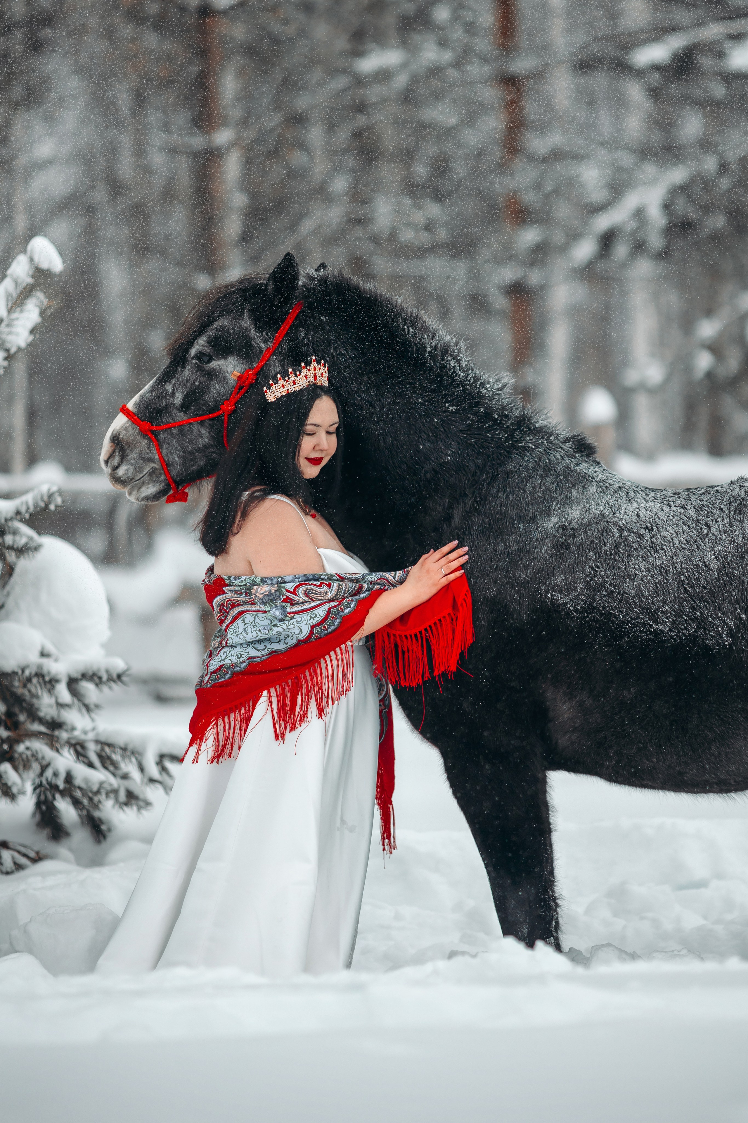 Яблоки на снегу. Анна Молчанова конный фотограф в Тюмени | фотосессии с лошадьми Тюмень