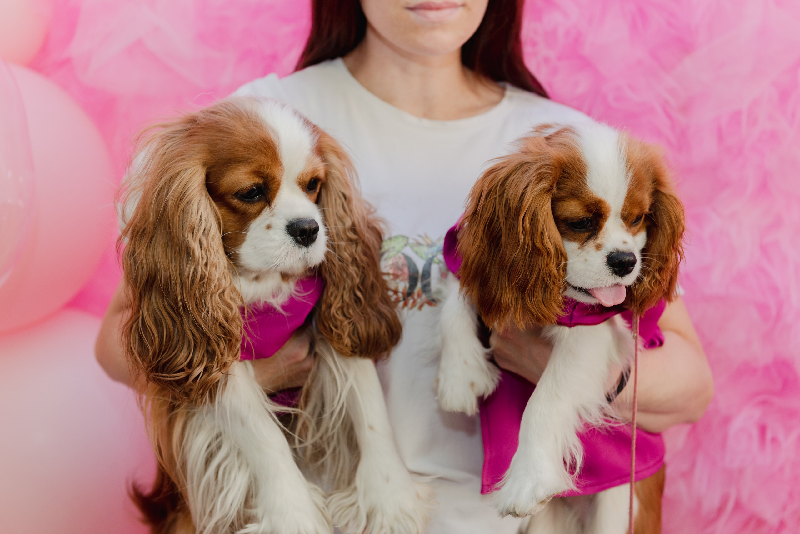 Pets. Фотограф в Москве Daria Lens