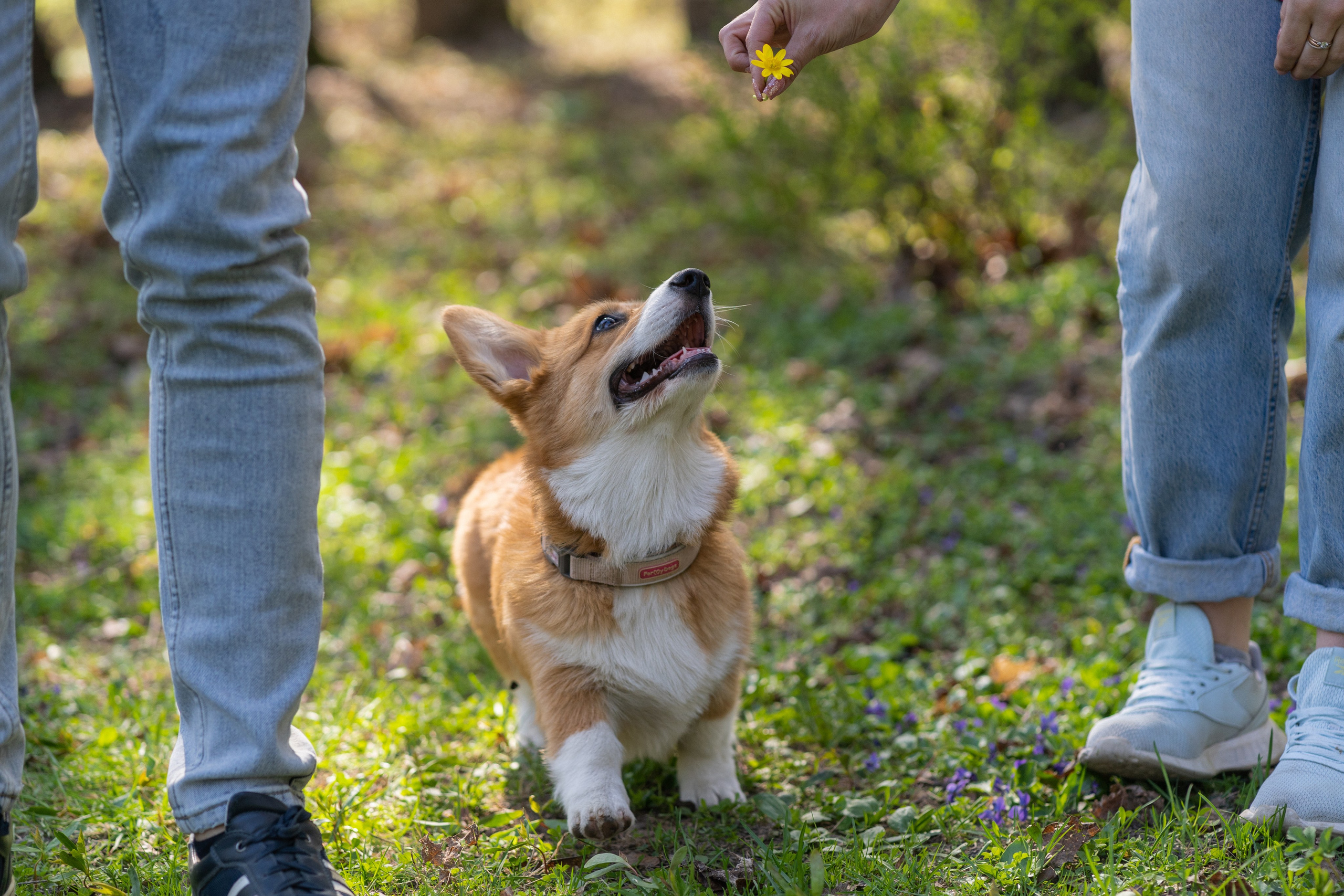 Саша, Настя, Луна. Свадебный фотограф в Москве Анна Полушина