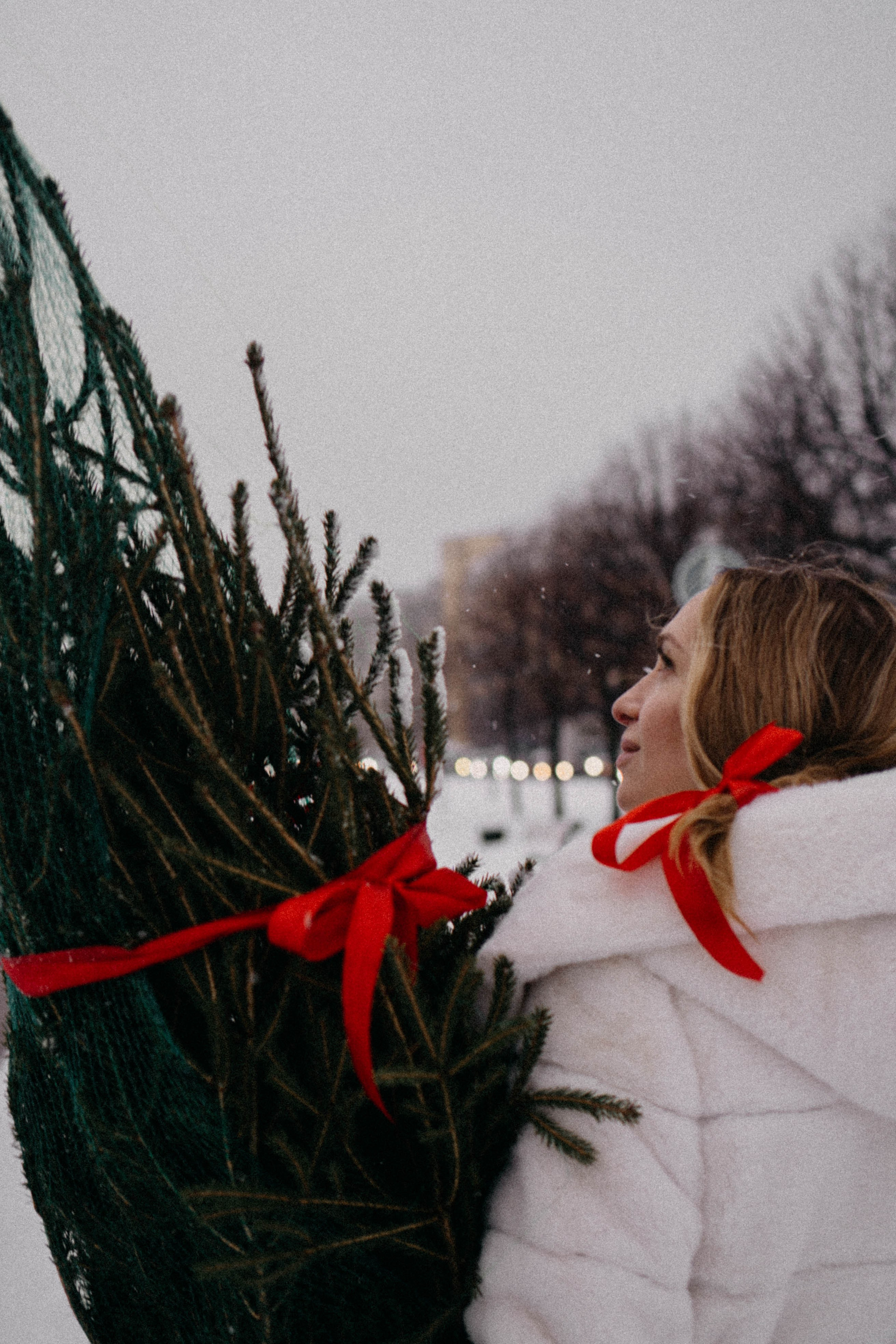 Новогодняя. Профессиональный фотограф, Санкт-Петербург — Виктория Богомолова