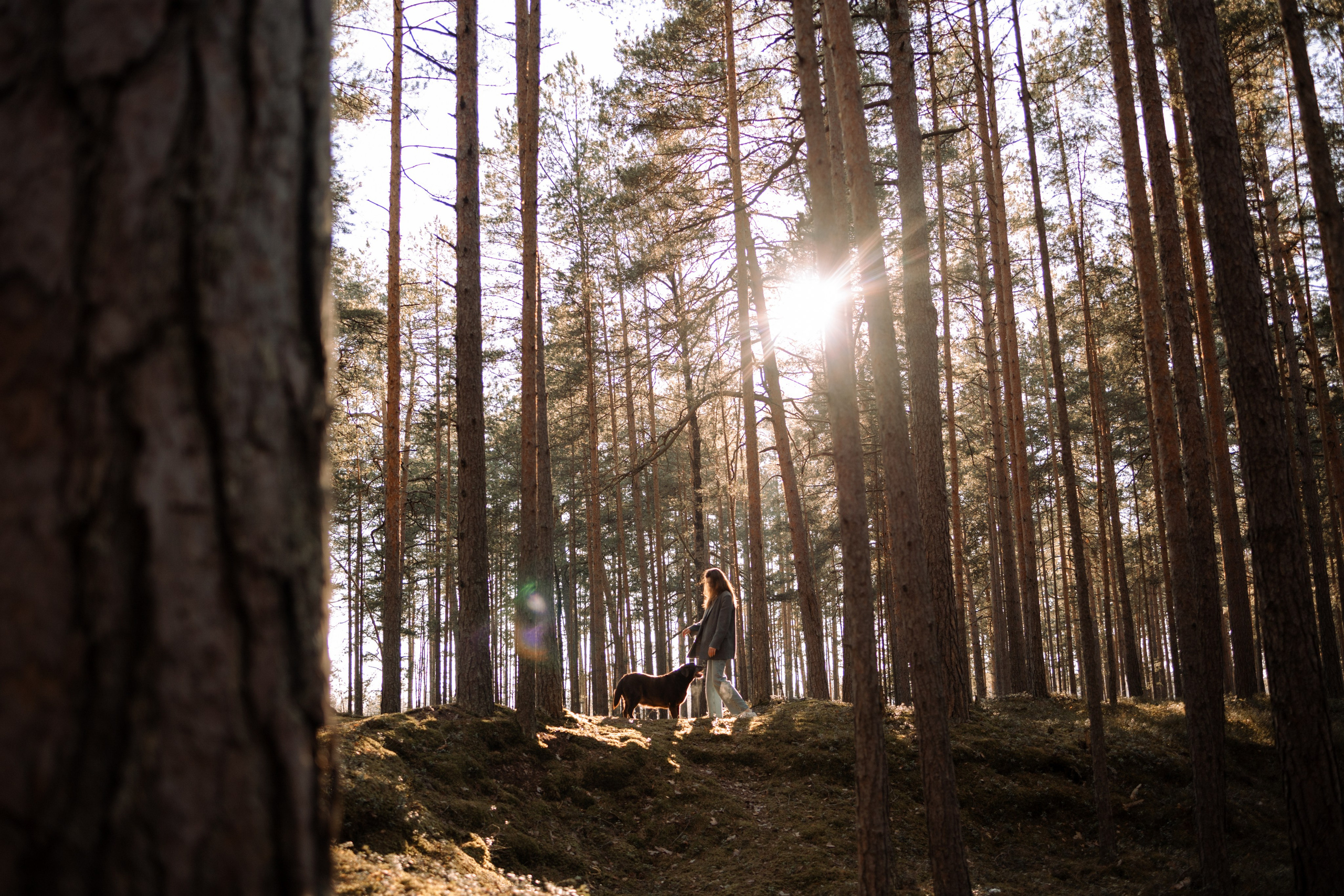 Оля и Питоня. Фотограф — Анималист | Санкт-Петербург
