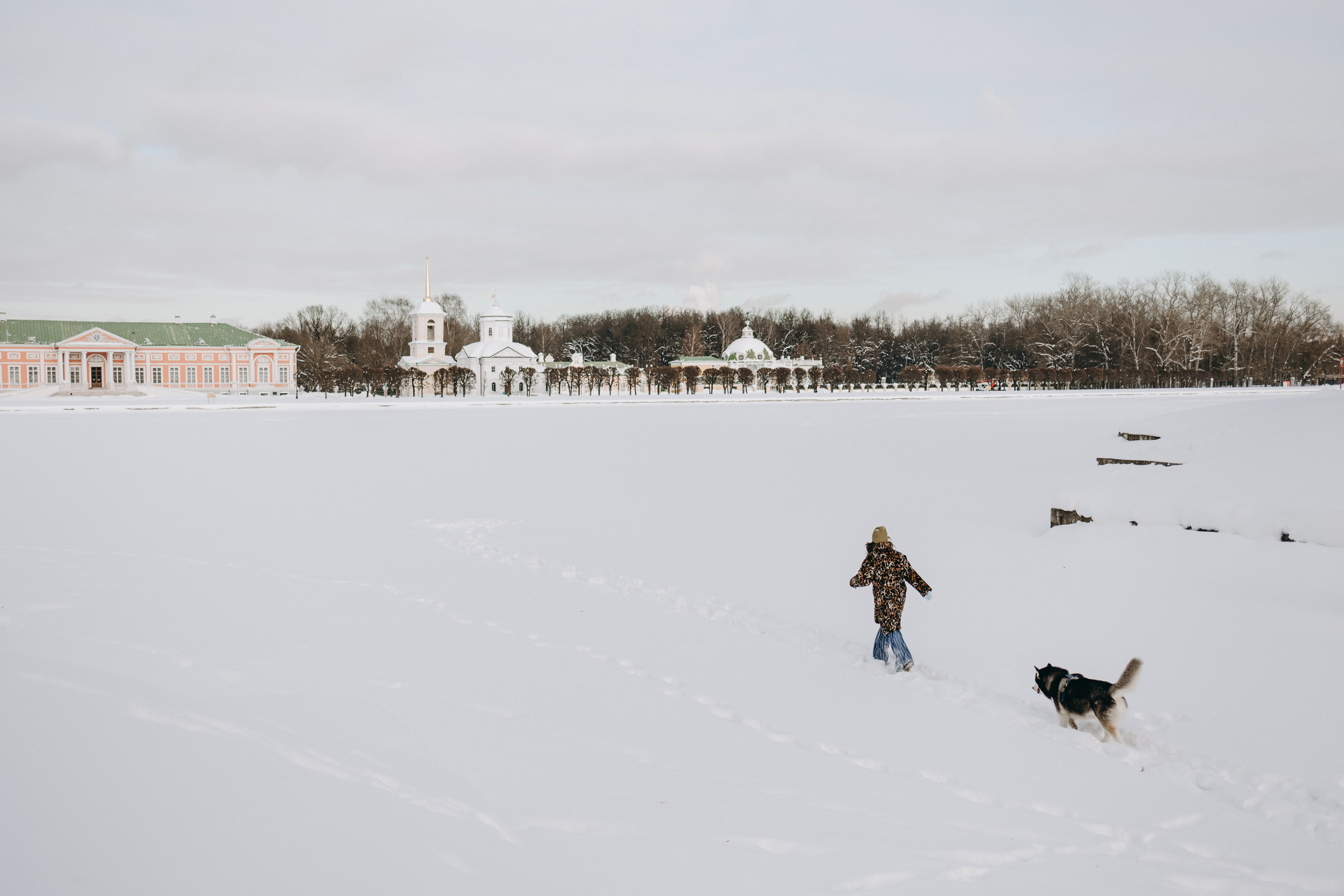 Вегас и его семья. Фотограф — Анималист | Санкт-Петербург