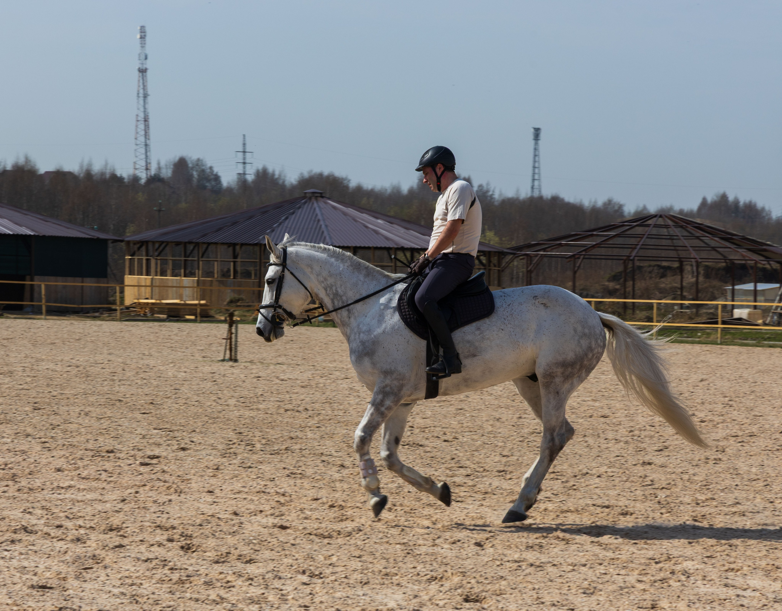 Репортаж.Конная тренировка. Портретный и семейный фотограф Санкт-Петербург