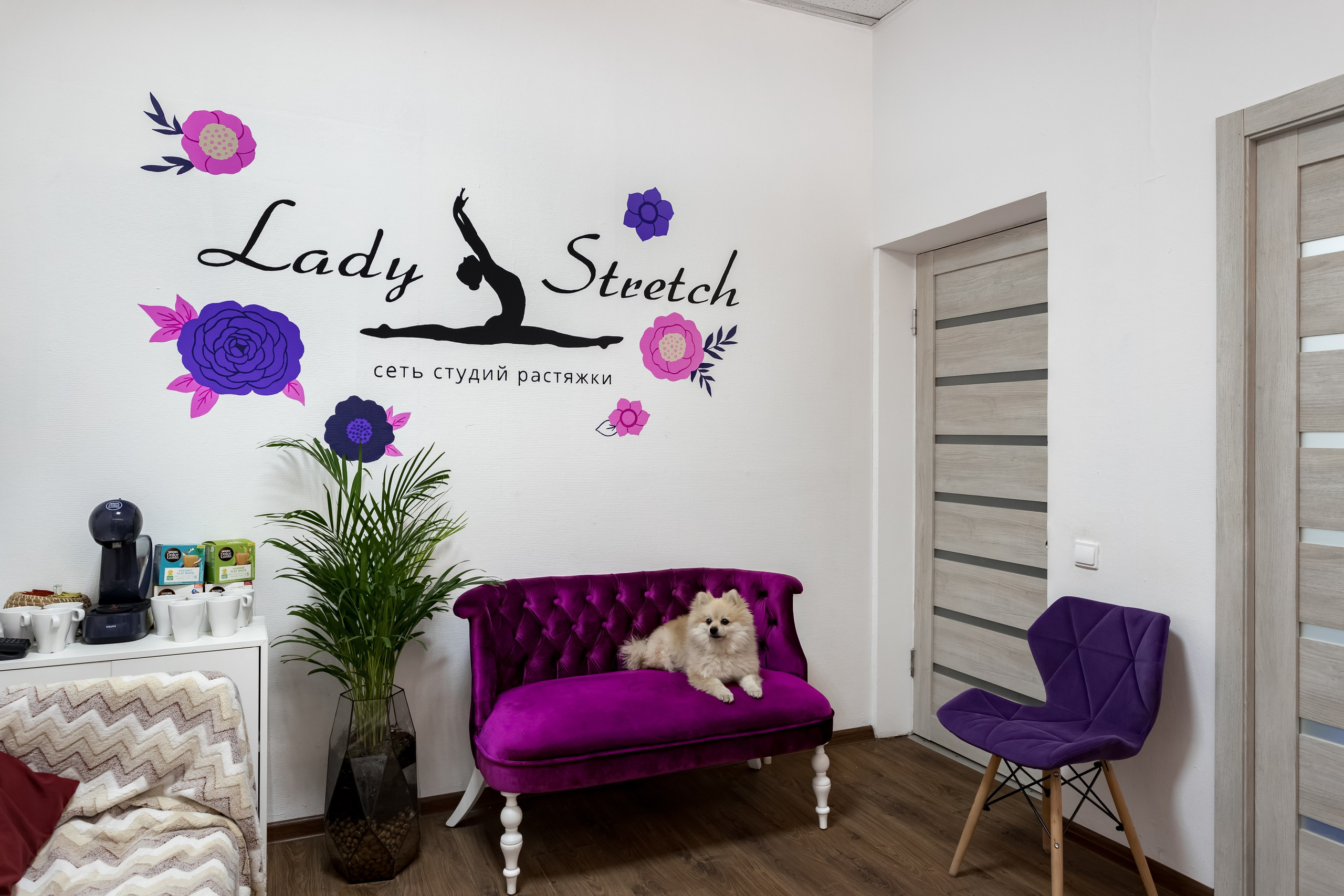 Студия растяжки Lady Stretch. Интерьеры, Контент, Портреты | Фотограф в Москве Дани Терно