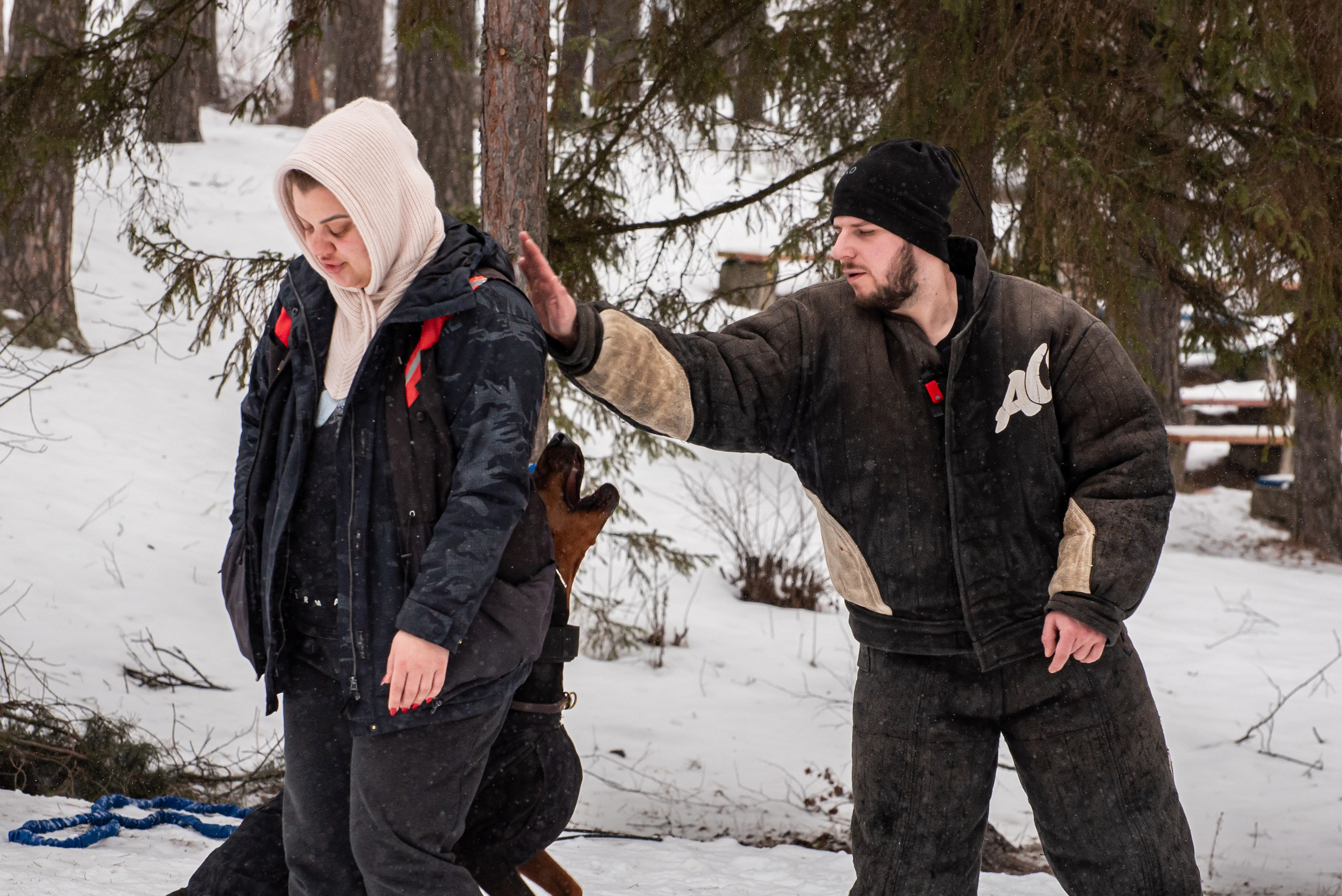 Фотосъёмка с собаками в Кинологическом лагере. Фотограф Макс Огурцов в Нижнем Новгороде