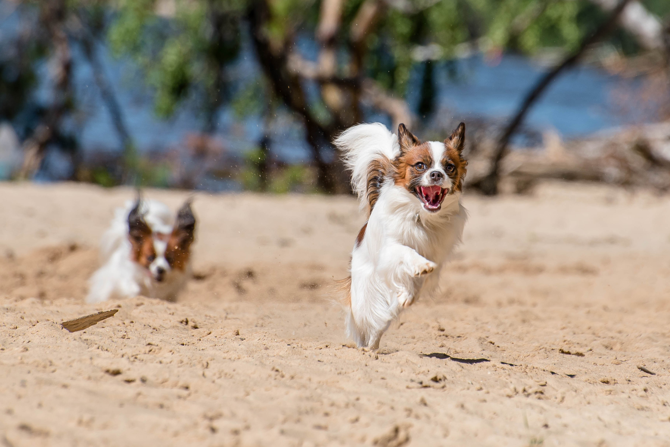 Семейная фотосессия. Фотограф Макс Огурцов в Нижнем Новгороде