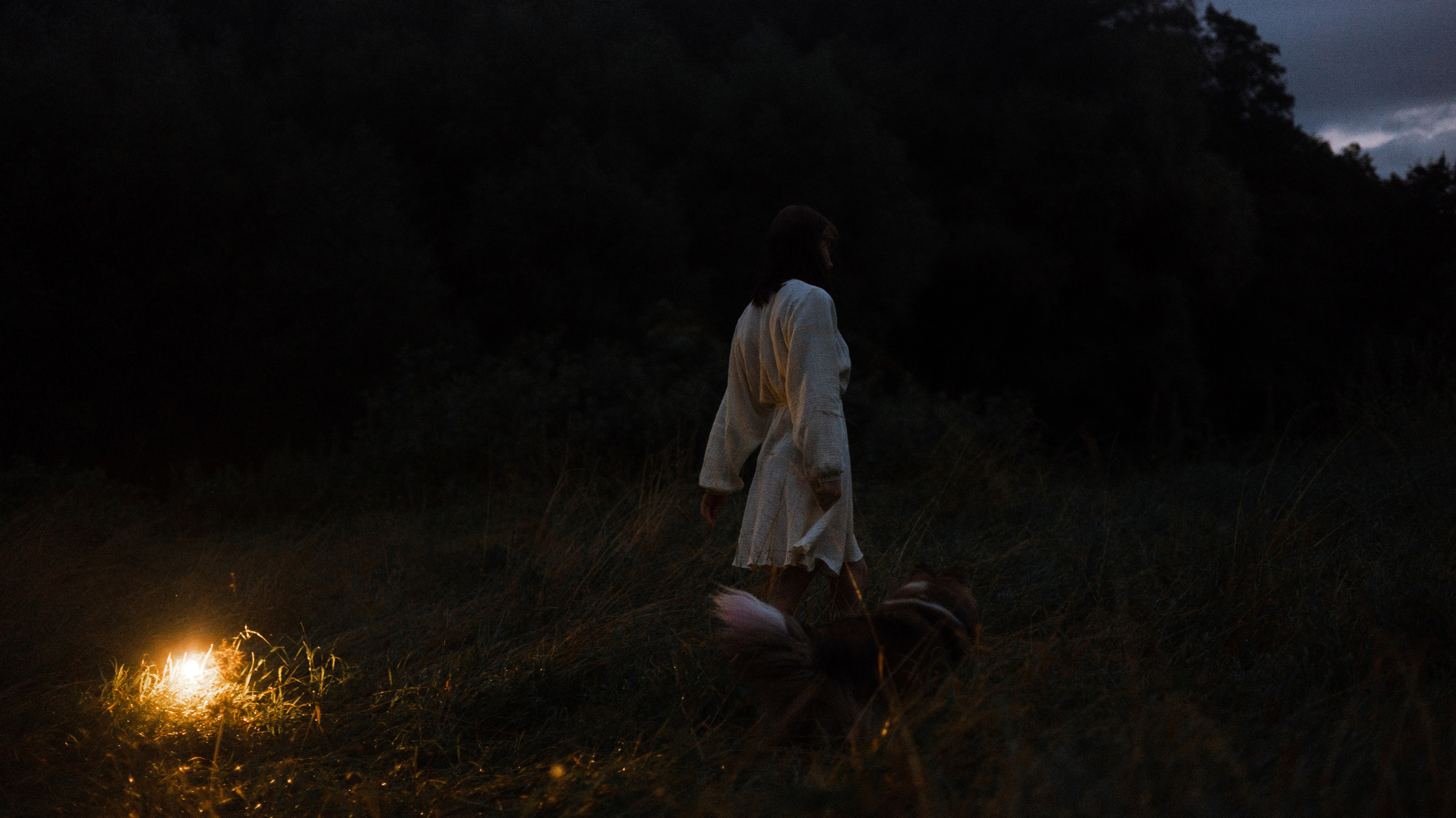 Аня и Скай. Фотограф-анималист Богданова Полина