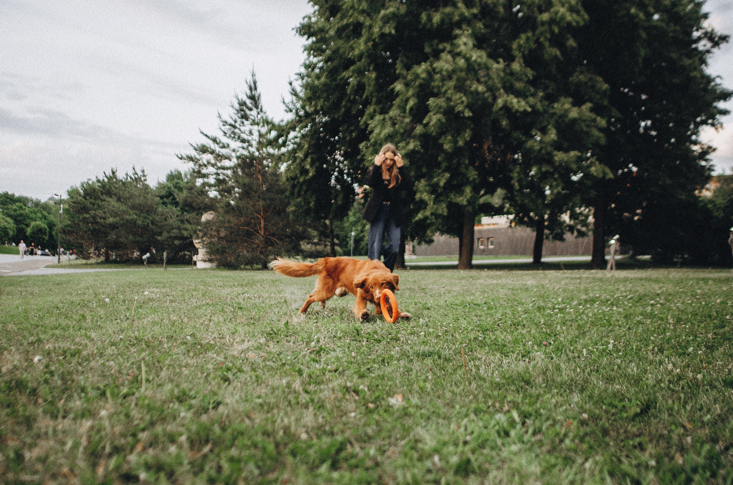Алина и Бис. Фотограф-анималист Богданова Полина