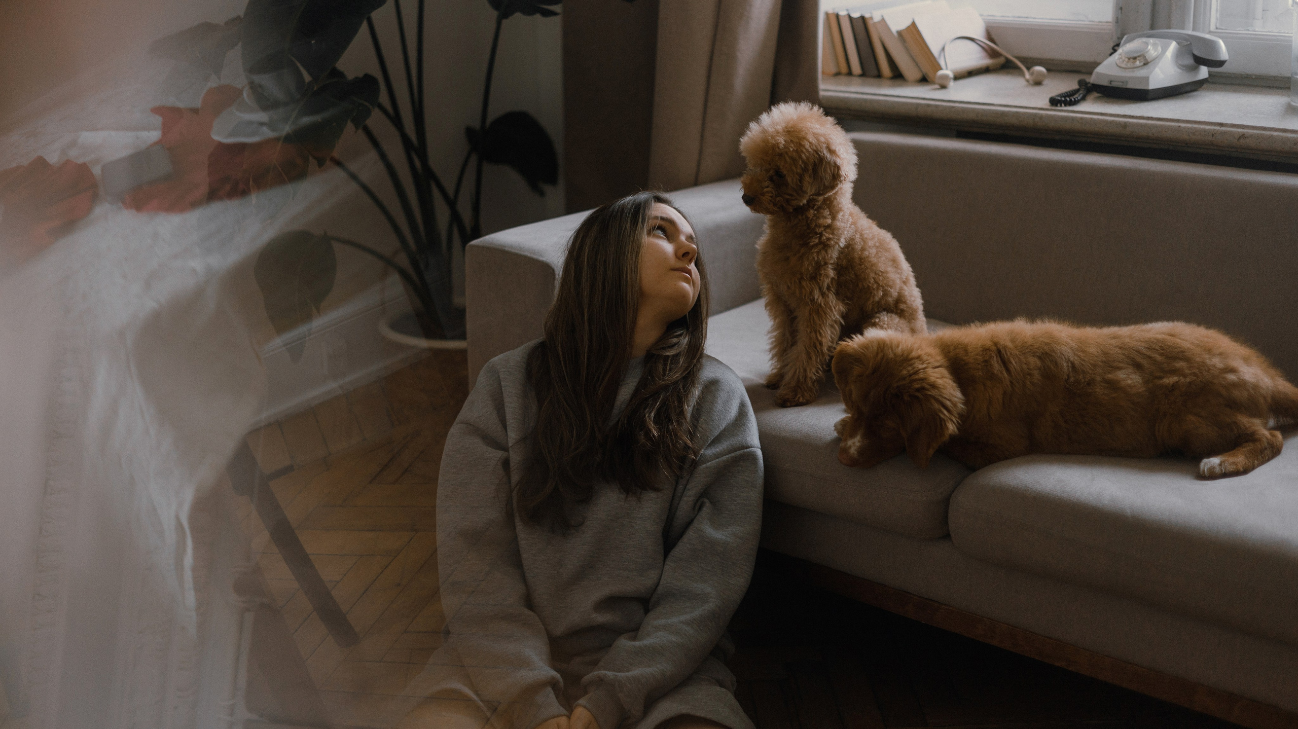 Маша, Одди и Нэвил. Фотограф-анималист Богданова Полина