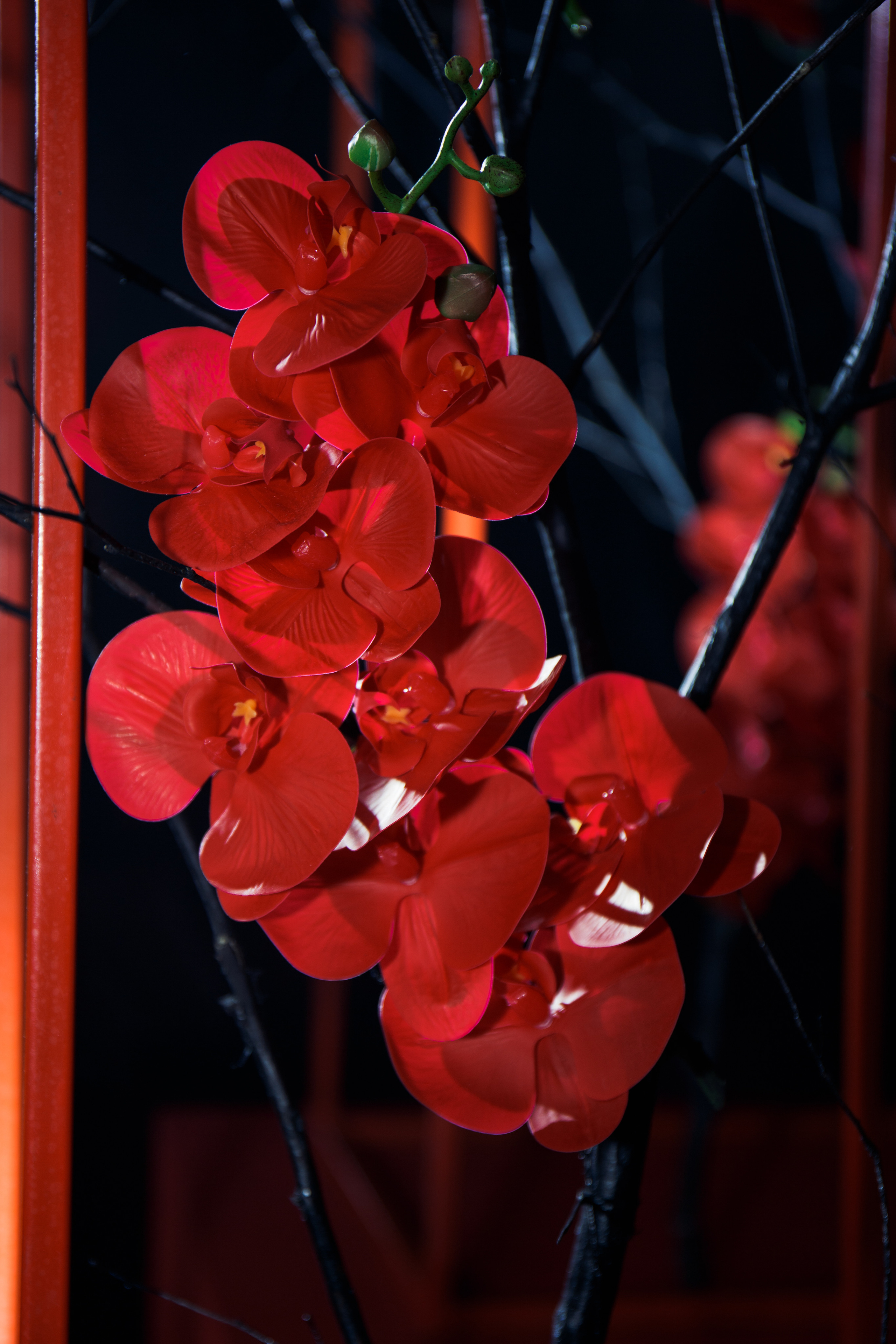 Сибирский металл. Для тех, кто не ждёт удачи, а создаёт её. Каждая фотосессия — это твой момент, твой стиль, твой успех. 📸