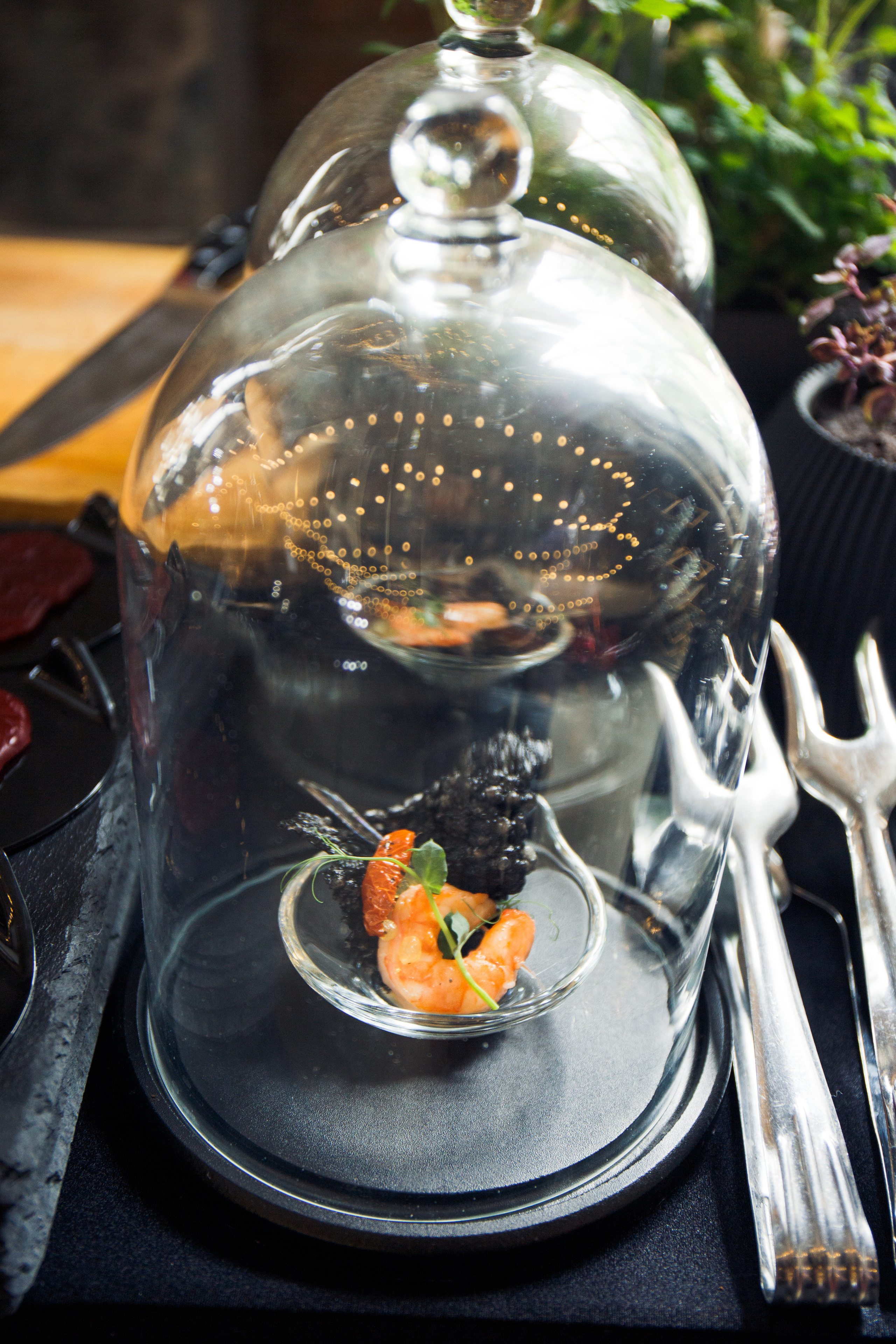 Сибирский металл. Для тех, кто не ждёт удачи, а создаёт её. Каждая фотосессия — это твой момент, твой стиль, твой успех. 📸