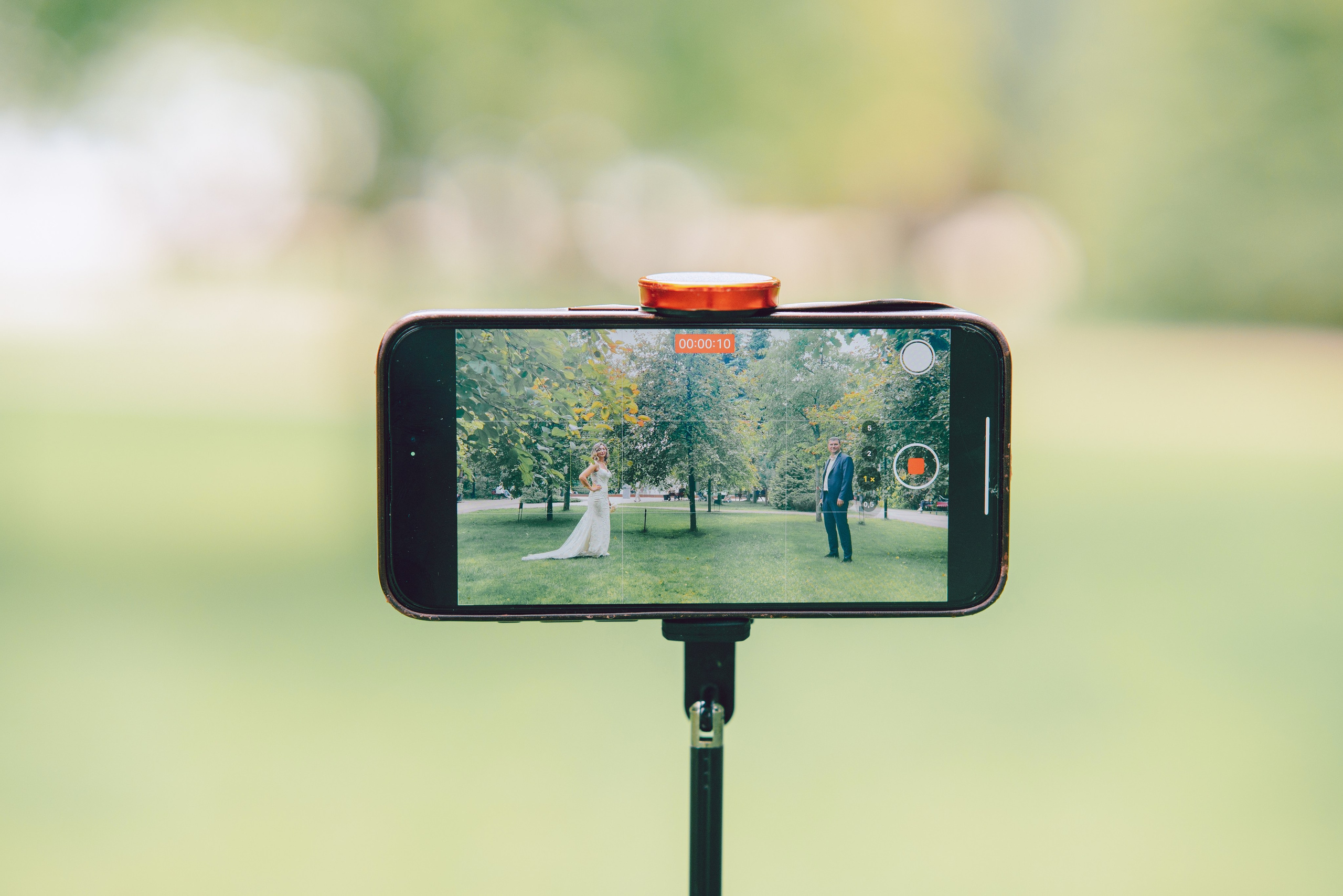 Классика. Фотограф Мария Зайчик