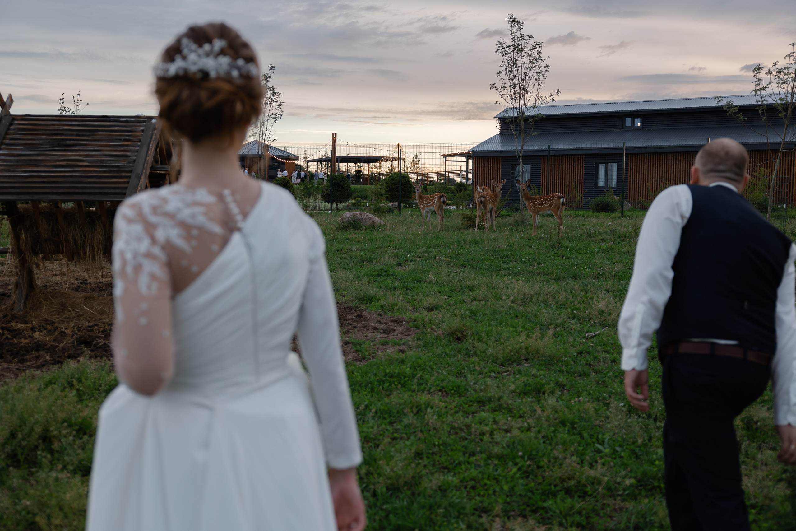 9 августа (Илья и Кристина). Свадебный фотограф в Санкт — Петербурге и Ленинградской о