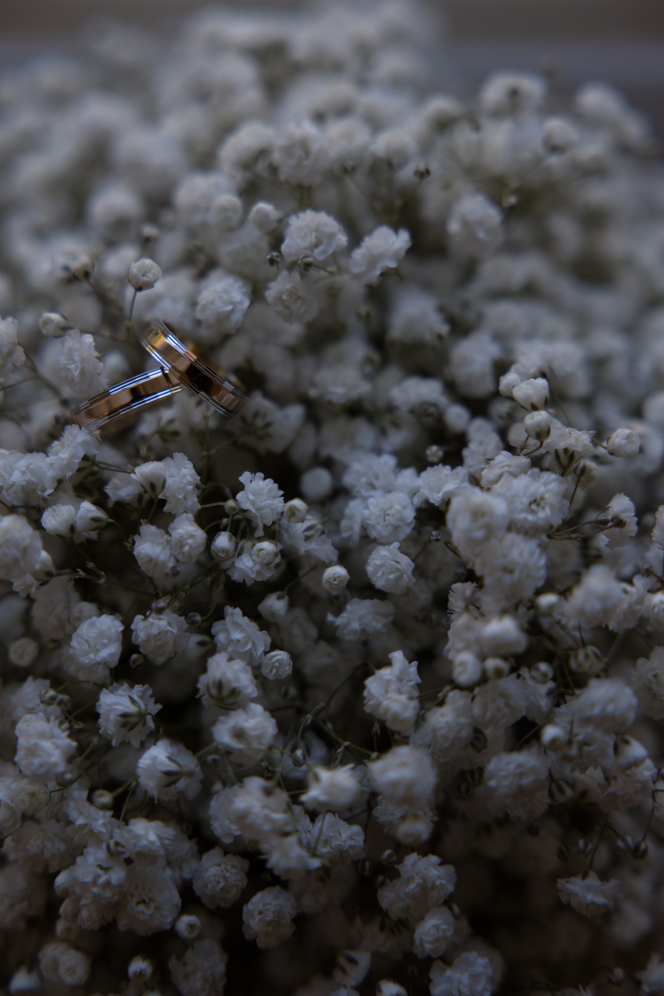 Илья и Валентина. Свадебный фотограф в Санкт — Петербурге и Ленинградской о