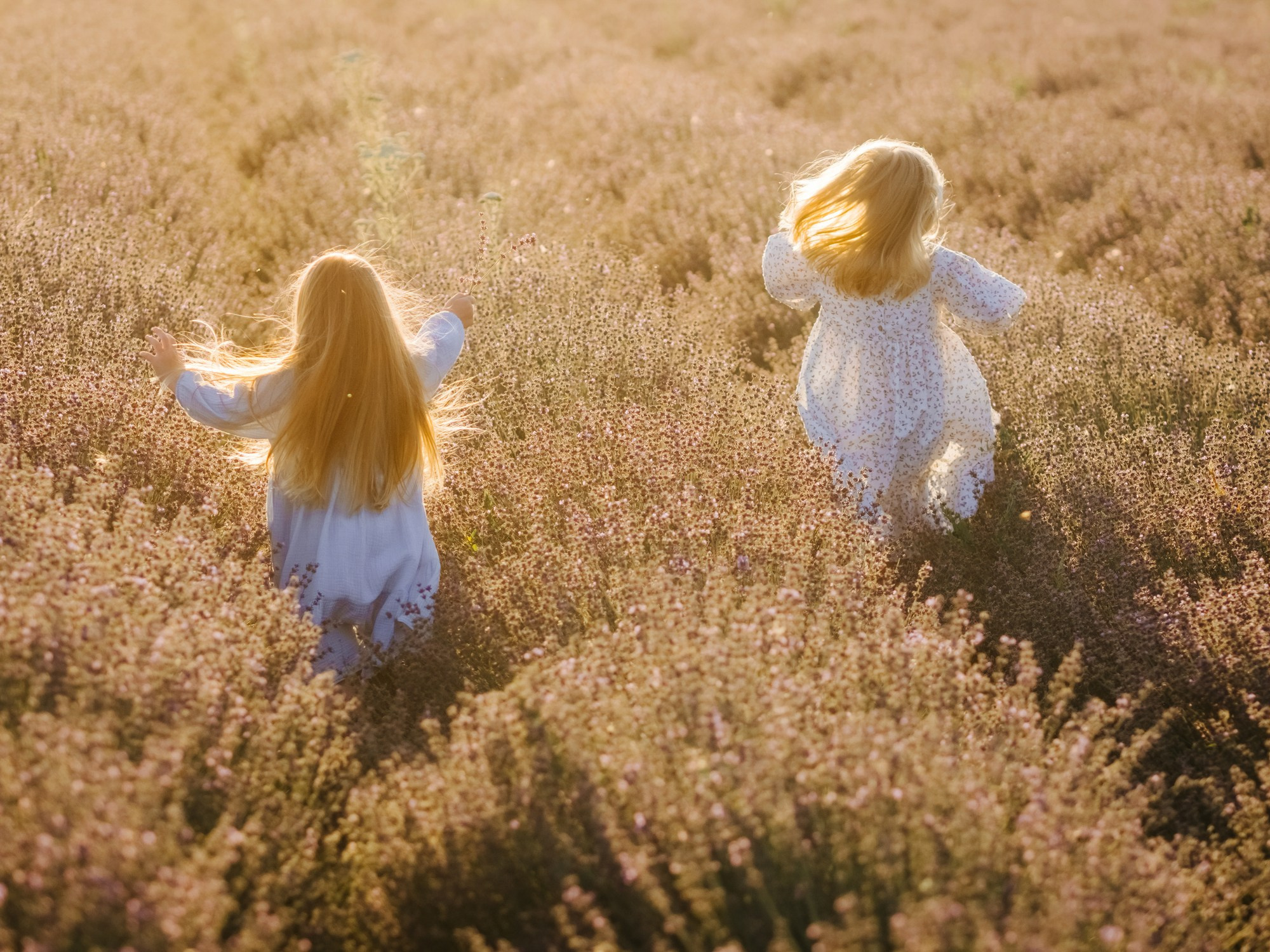 Лаванда. Семейный, детский, свадебный, фотограф в городе Анапа