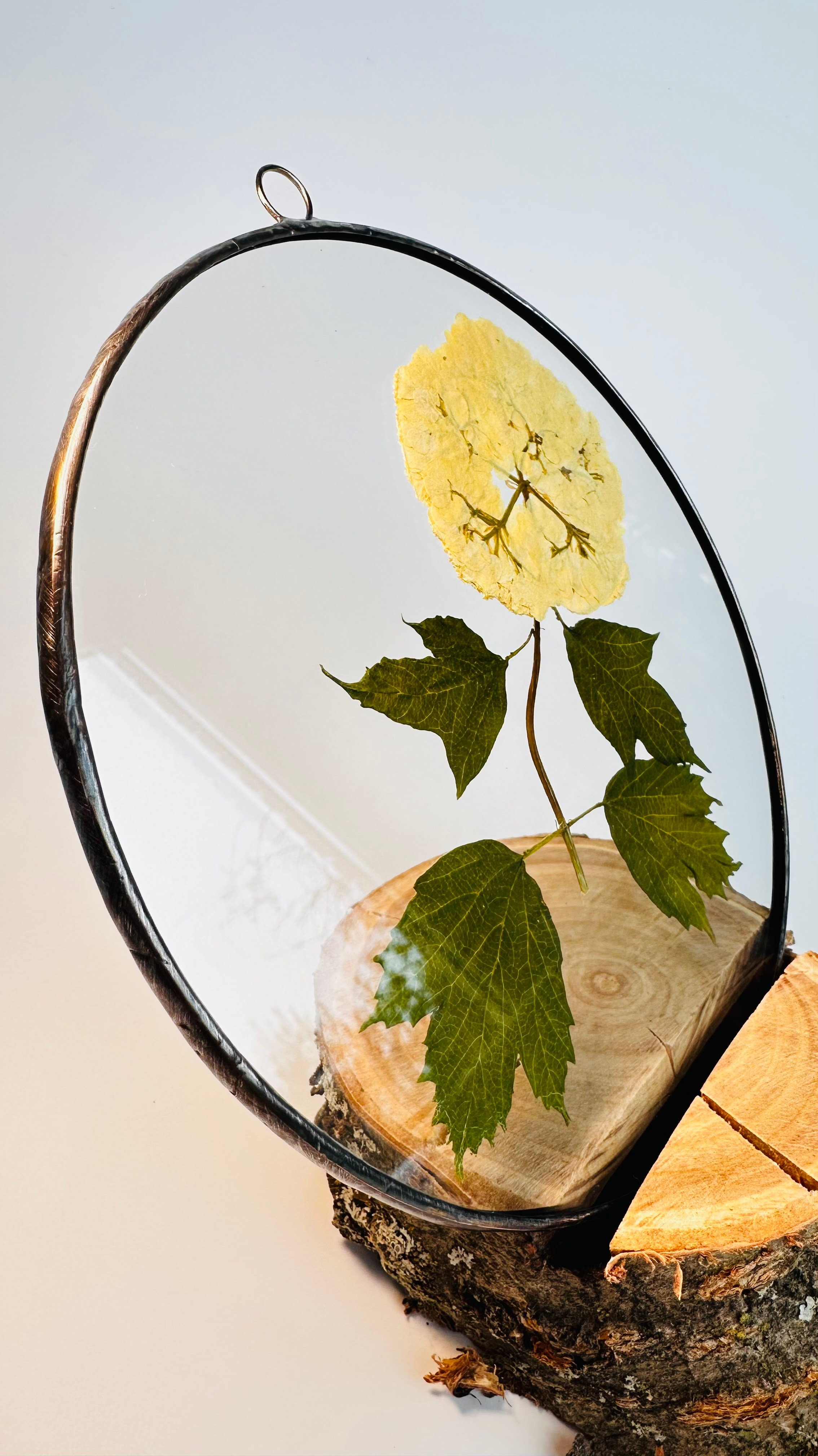 Гербарий в стекле с сухоцветами (витраж в технике тиффани). Гербарий в стекле, интерьерные панно, витражи с сухоцветами в технике тиффани