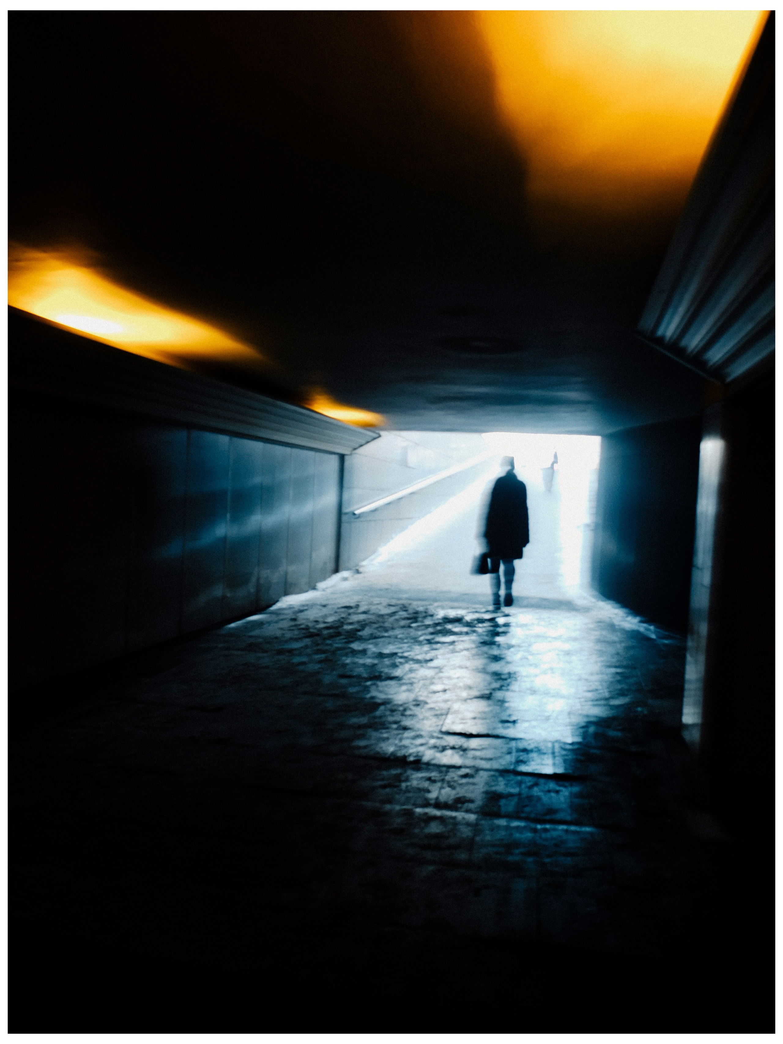 Шмитов Егор