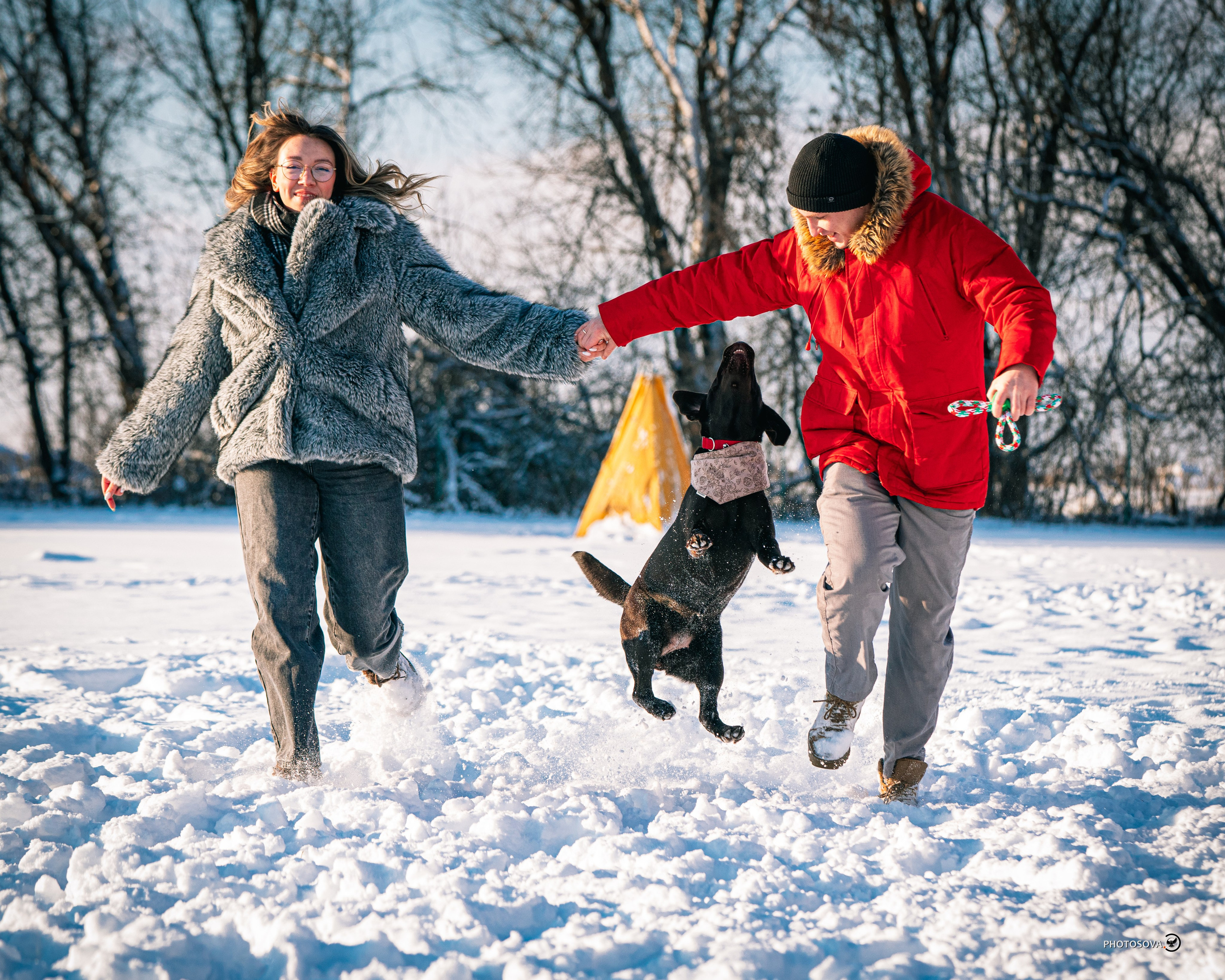 ФОТОПАМЯТЬ ВАШИХ ЭМОЦИЙ. Фотограф-анималист, семейный фотограф в Москве и Подмосковье. Фотосъёмка кинологических дисциплин