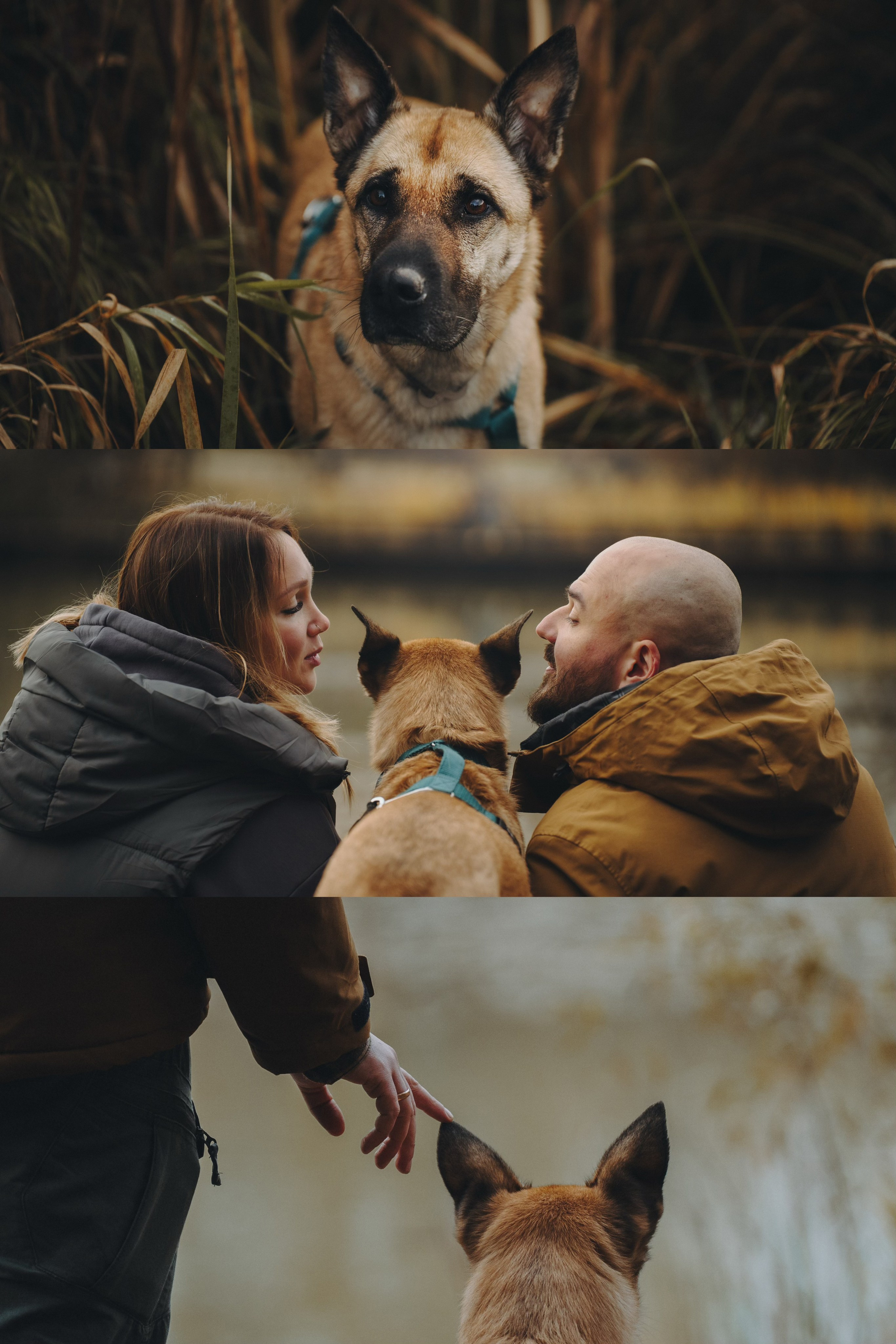 Наталия, Иван и Урса. Фотограф анималист в Москве и Санкт-Петербурге Свиридова Анна