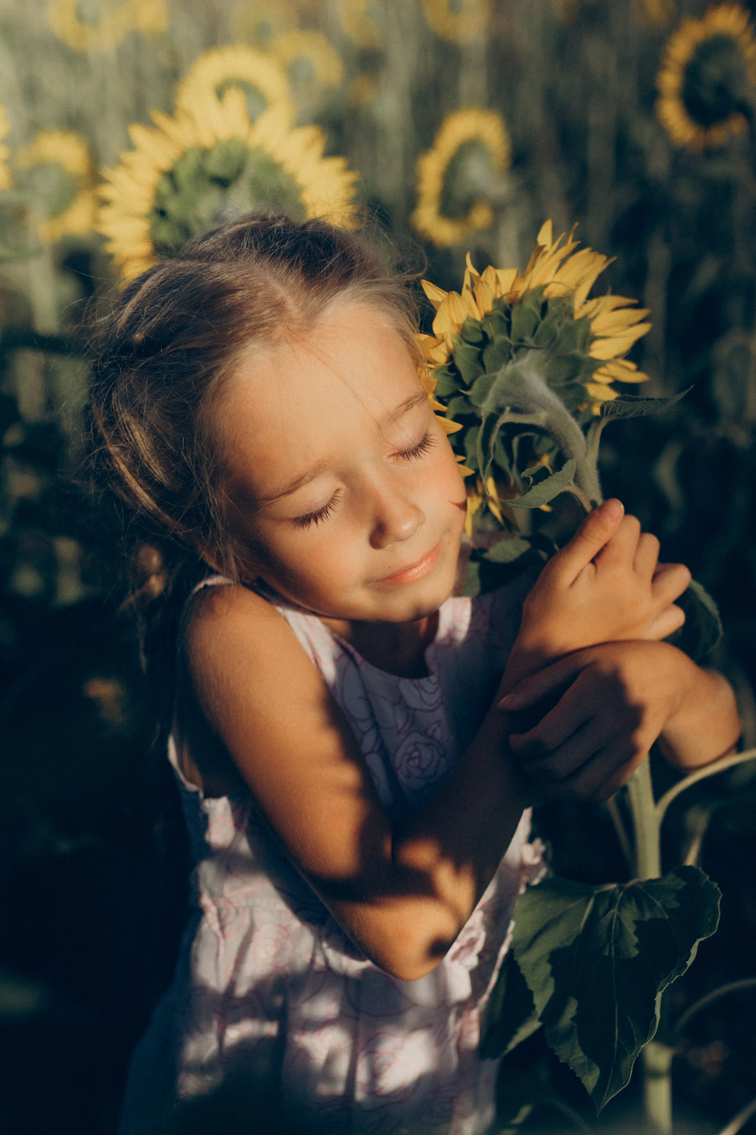 Дети и подсолнухи. Семейный фотограф lifestyle в Новосибирске Елена Шпилевая